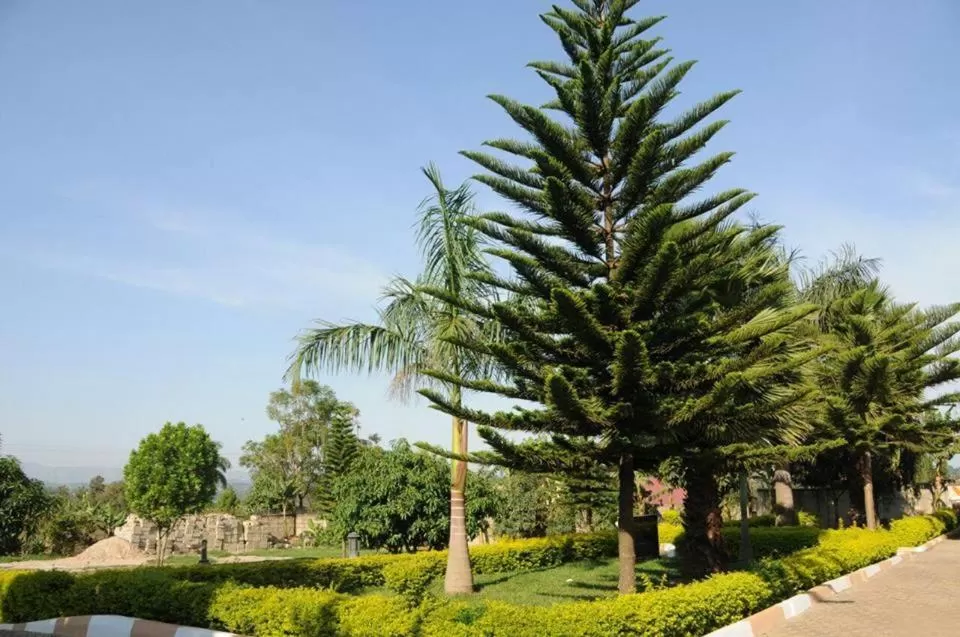 Natural landscape in Palace Hotel