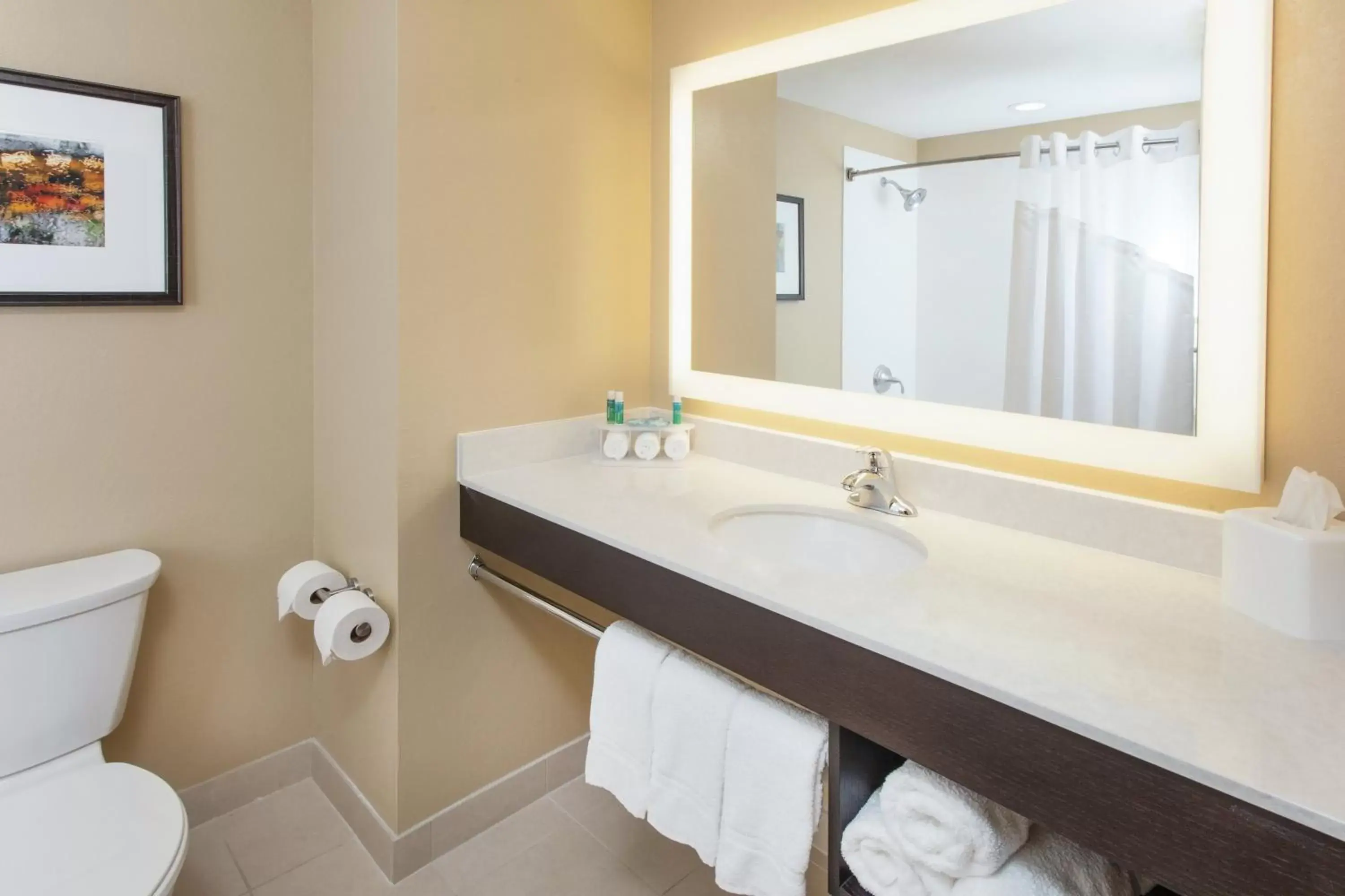 Bathroom in Holiday Inn Express & Suites Sandusky, an IHG Hotel