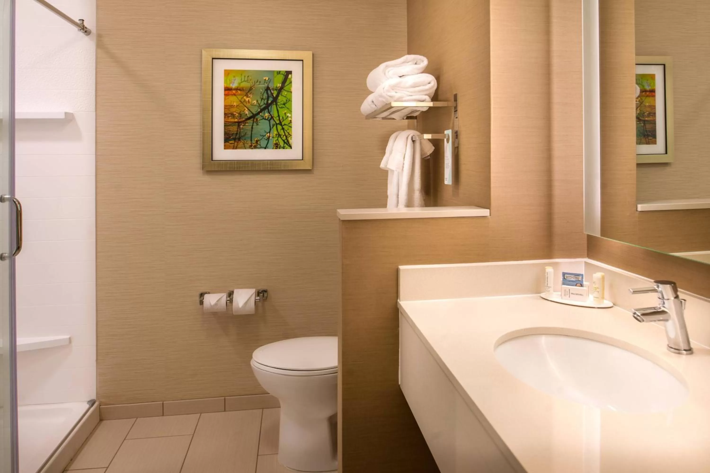 Bathroom in Fairfield Inn & Suites by Marriott St. Louis Westport
