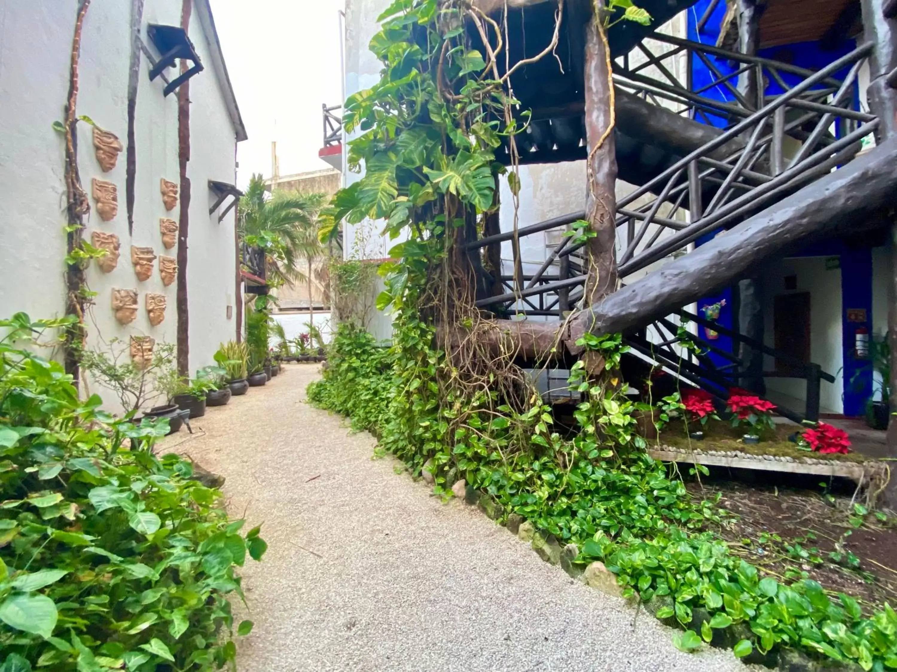 Garden, Property Building in Casa Caribe Cancun