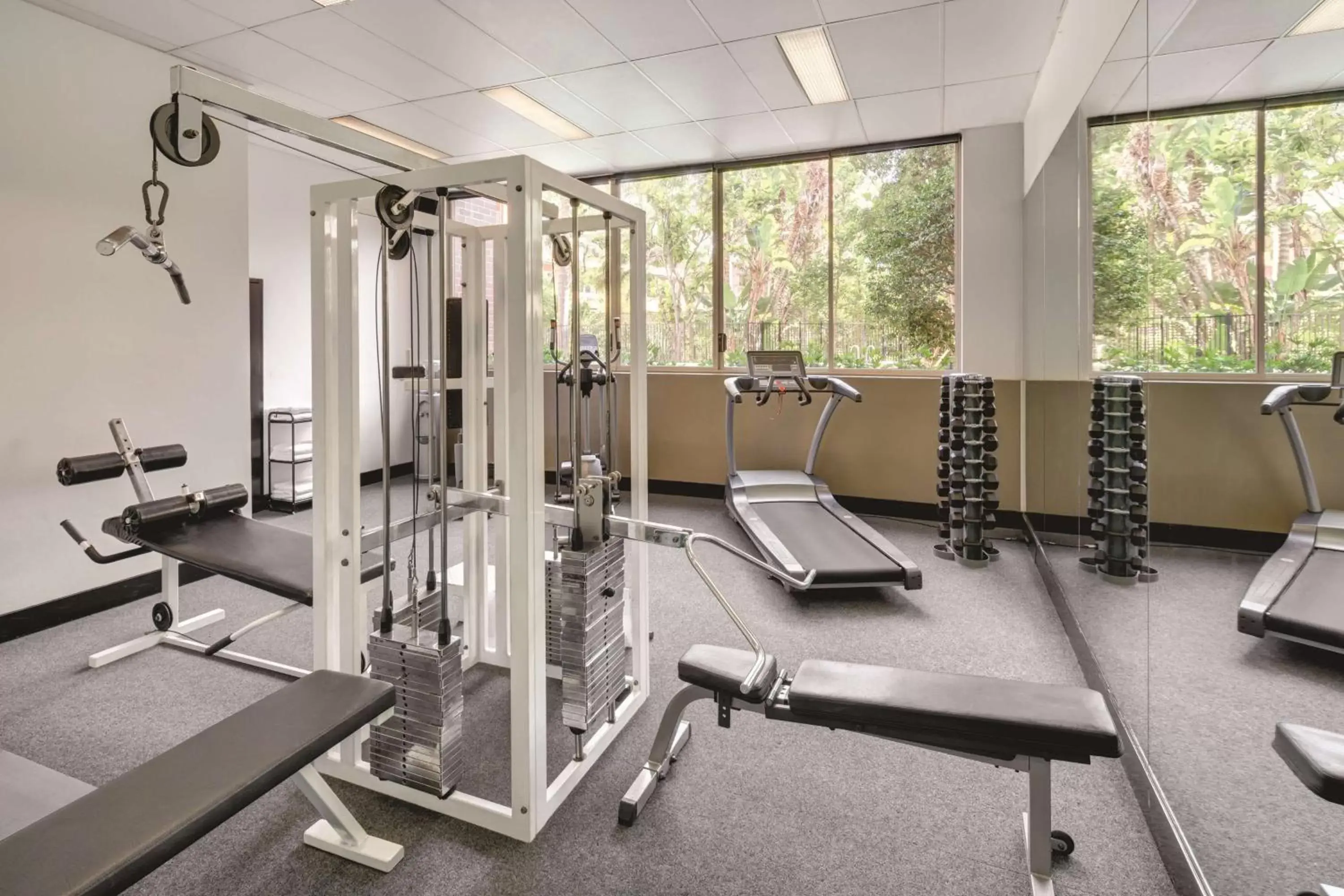 Spa and wellness centre/facilities, Fitness Center/Facilities in Adina Apartment Hotel Sydney Surry Hills