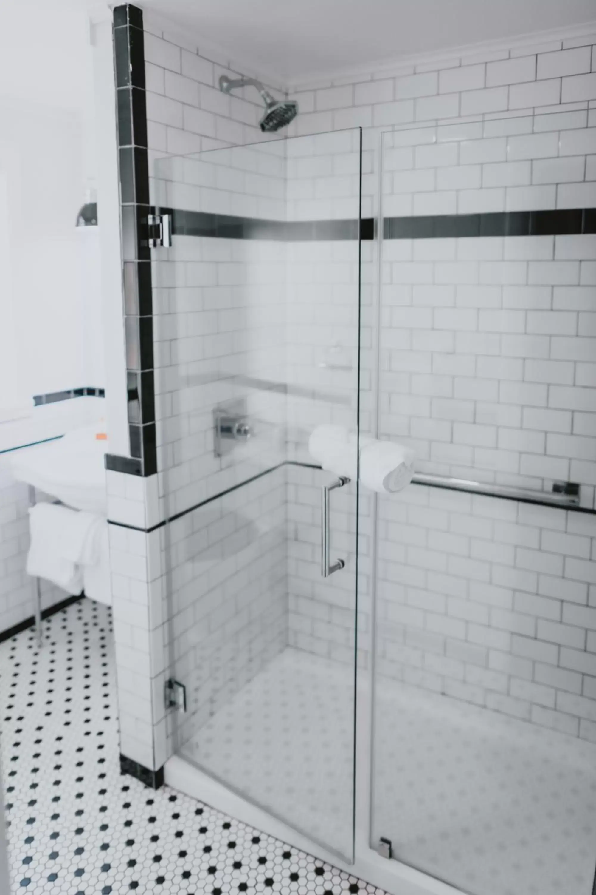 Shower, Bathroom in Sapphire Motel Midtown Bozeman