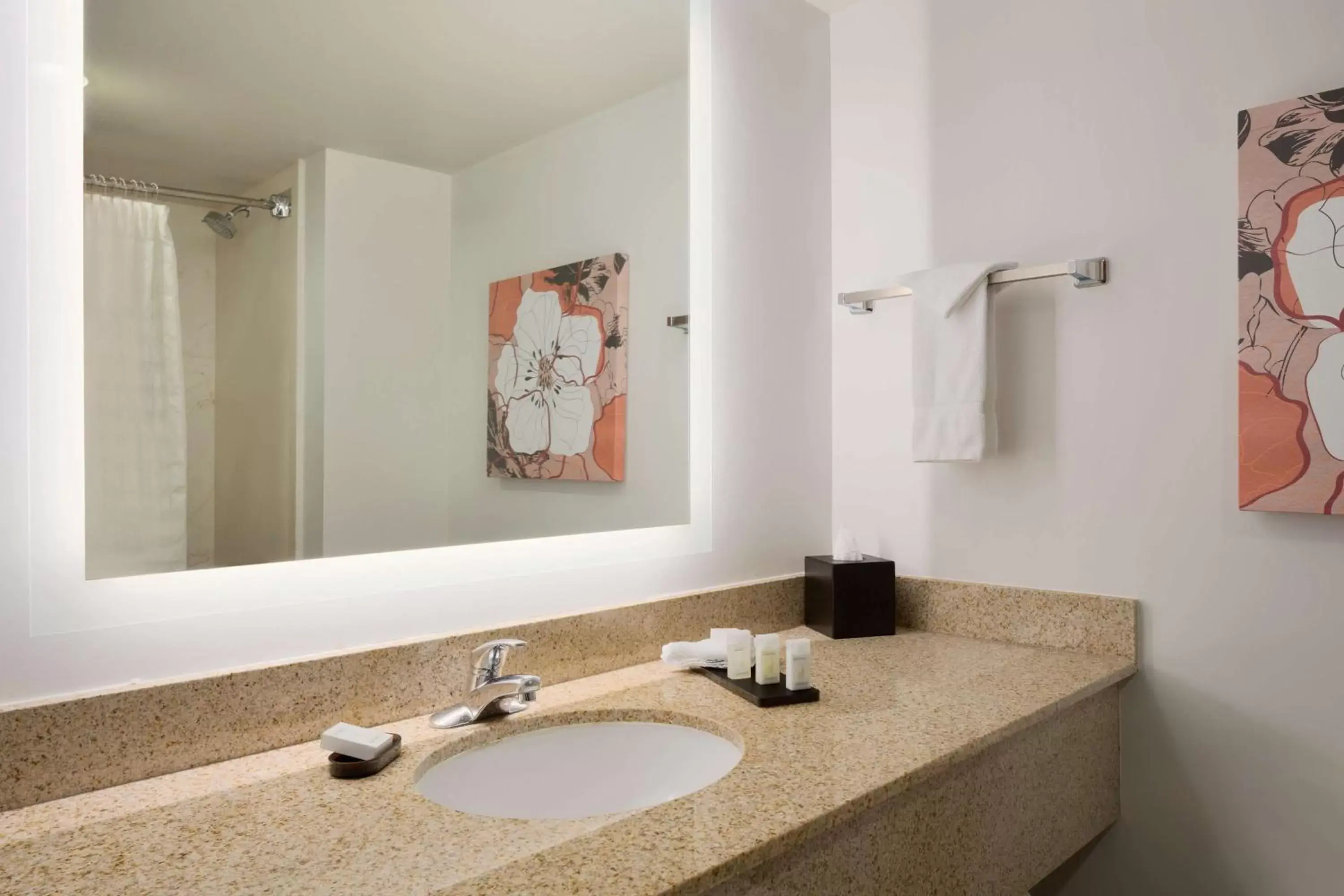 Bathroom in Embassy Suites by Hilton Denver International Airport
