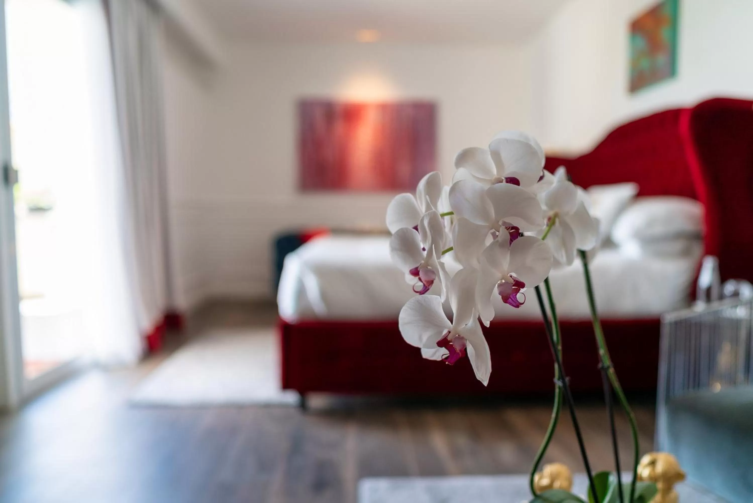 Bed in Monastero dei Santi