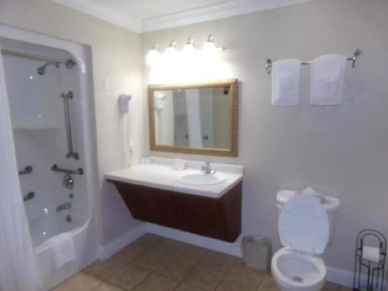 Shower, Bathroom in Reagan Resorts Inn