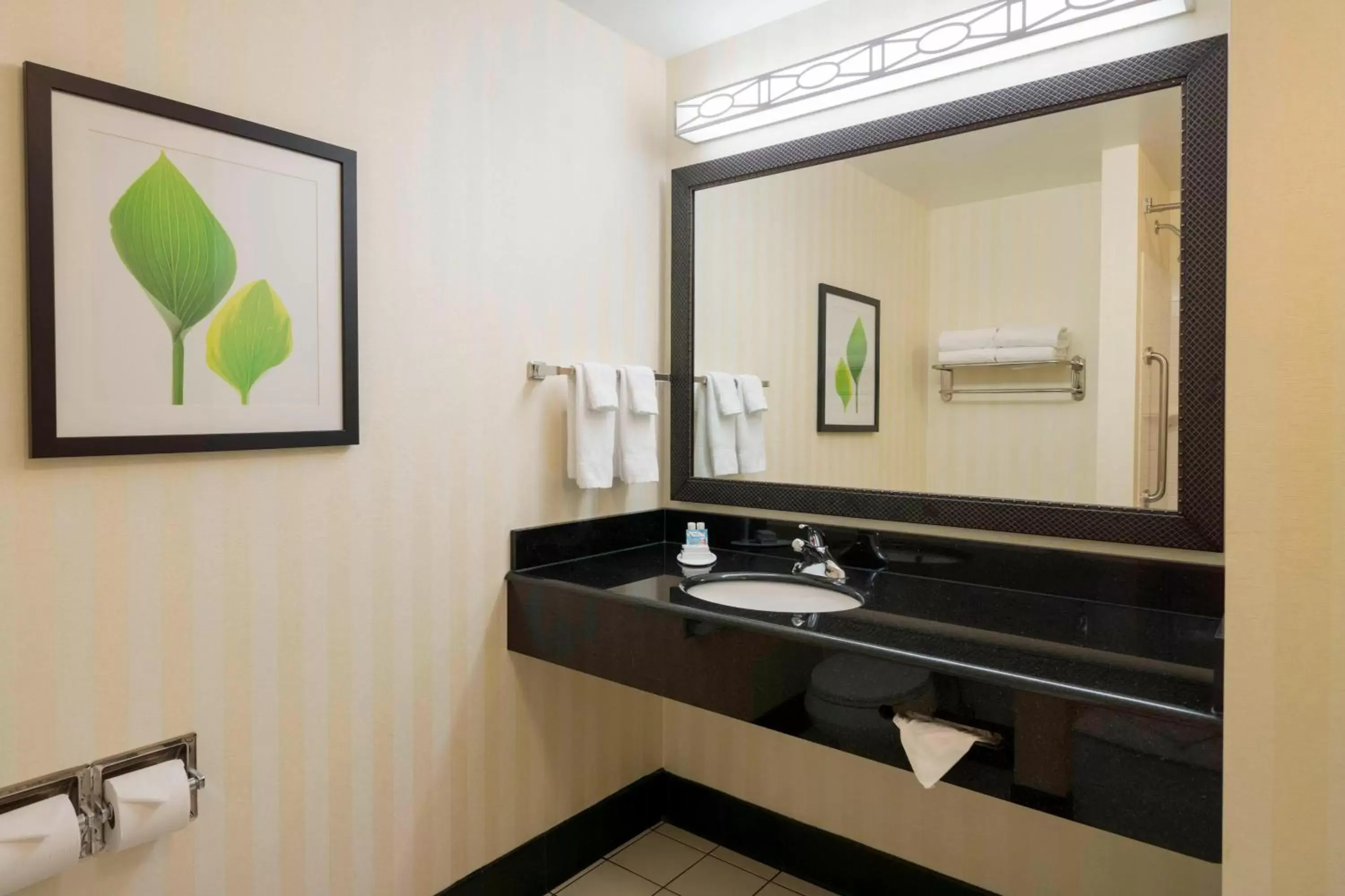 Bathroom in Fairfield Inn & Suites Huntingdon Raystown Lake