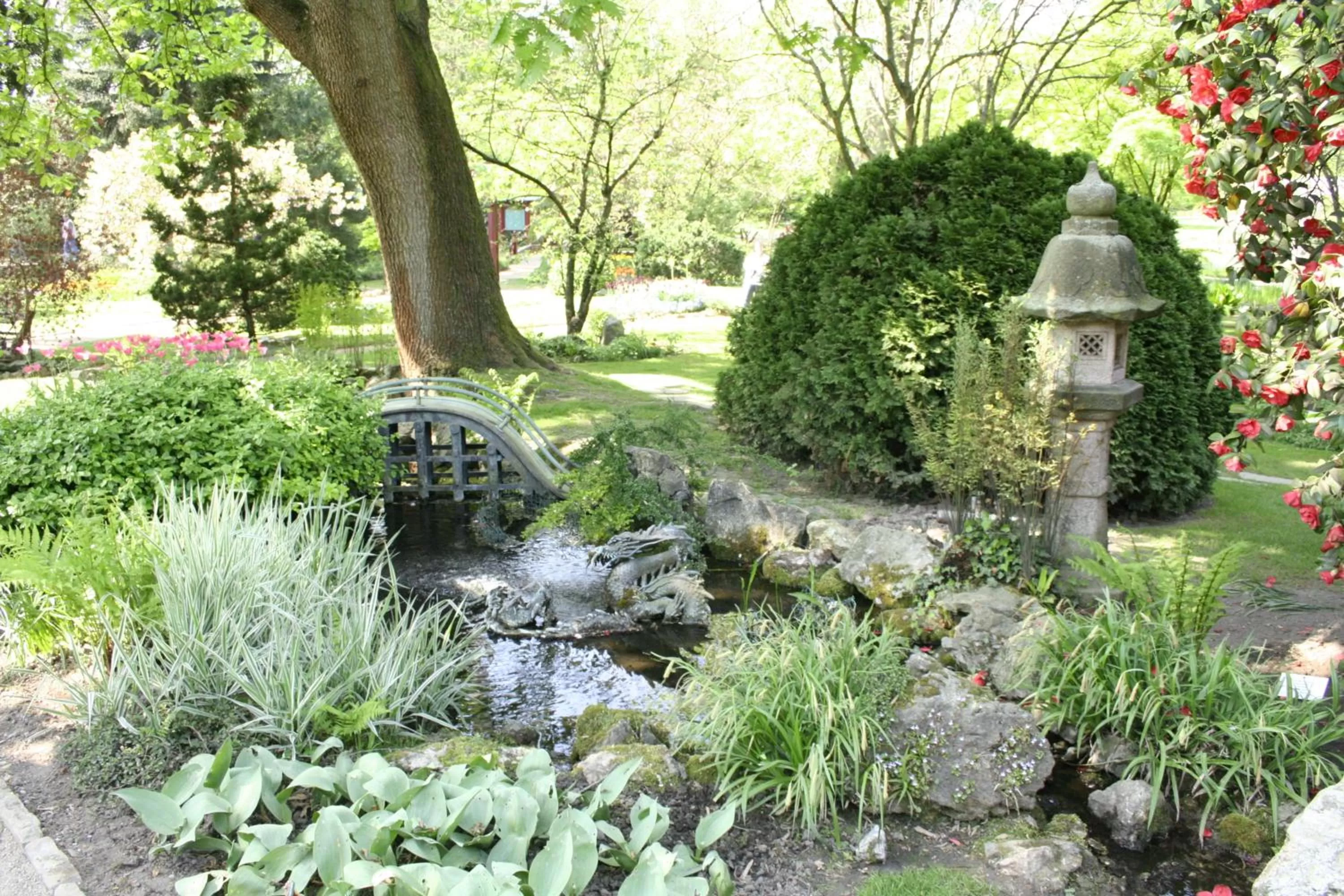 Garden in Kasino Hotel
