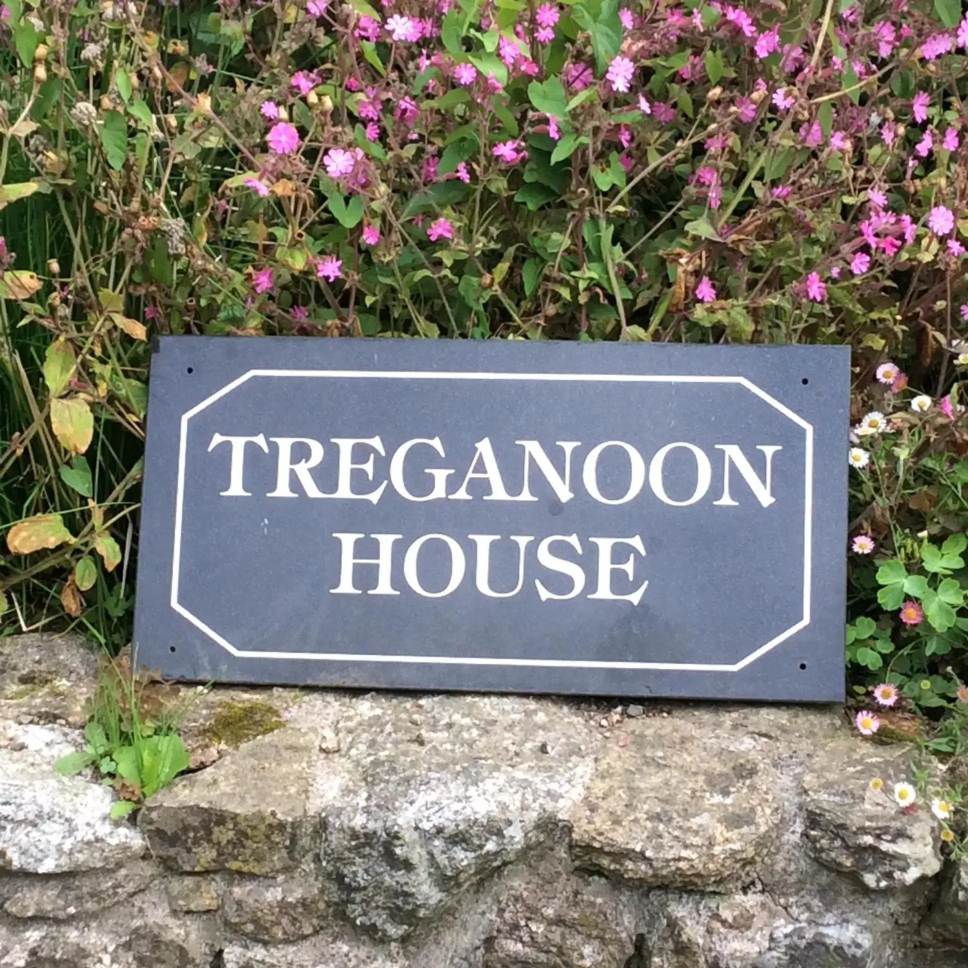 Property building, Property Logo/Sign in Treganoon House, Lanlivery