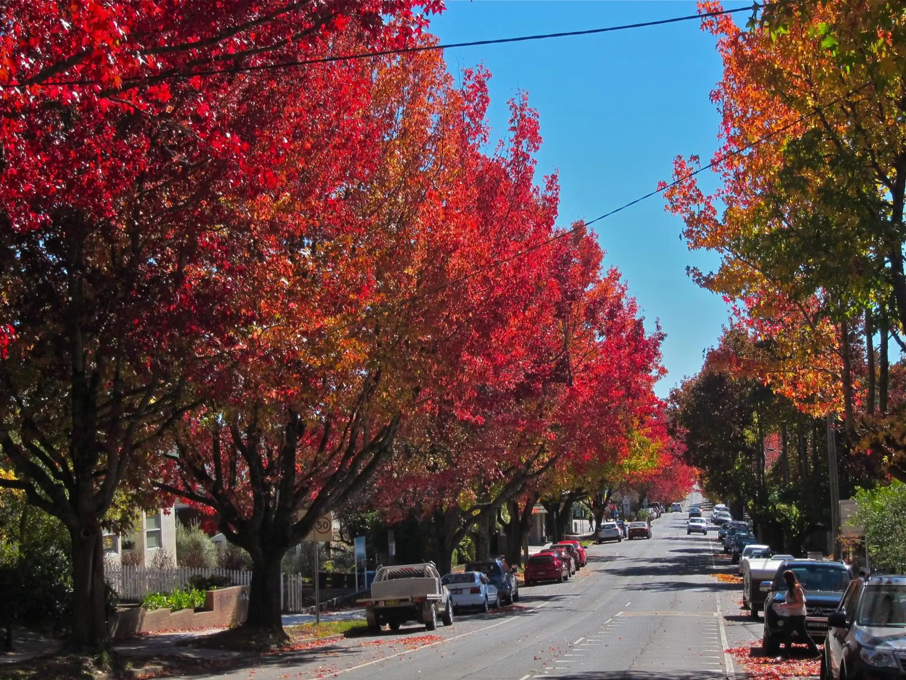 Day, Neighborhood in Gardners Inn Hotel