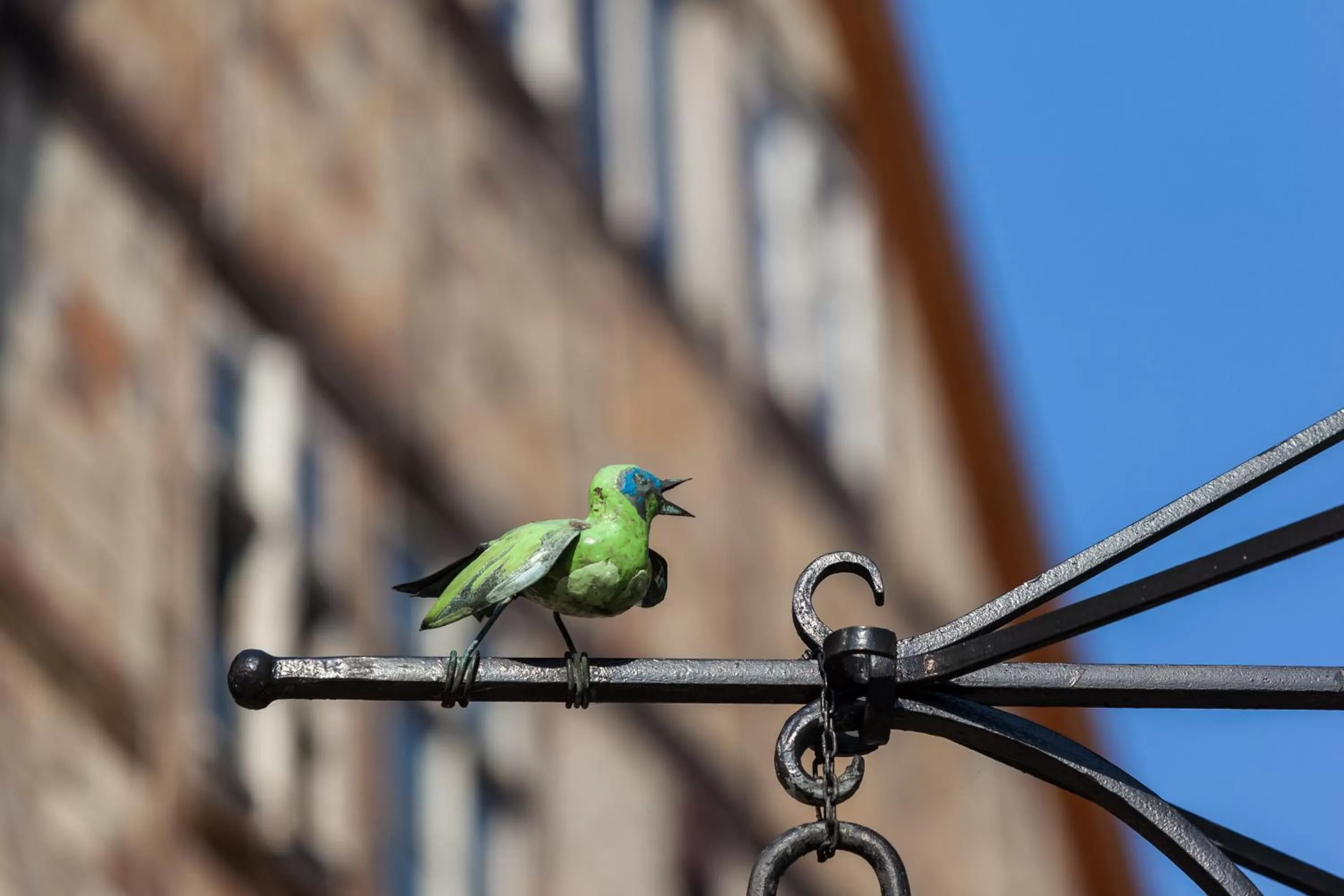 Neighbourhood in REGIOHOTEL Quedlinburger Hof - #HistorischerCharme #ZentraleLage #Wellness #FreeParking