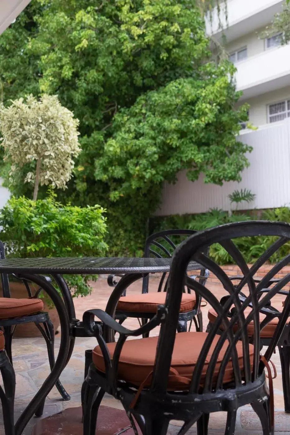 Patio in 5 Camp Street Guesthouse & Self-catering