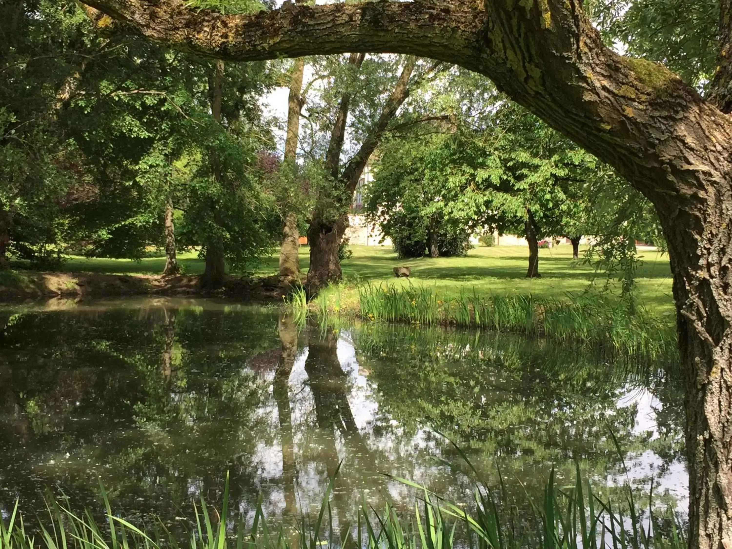 Spring, Garden in Domaine Pont Juillet