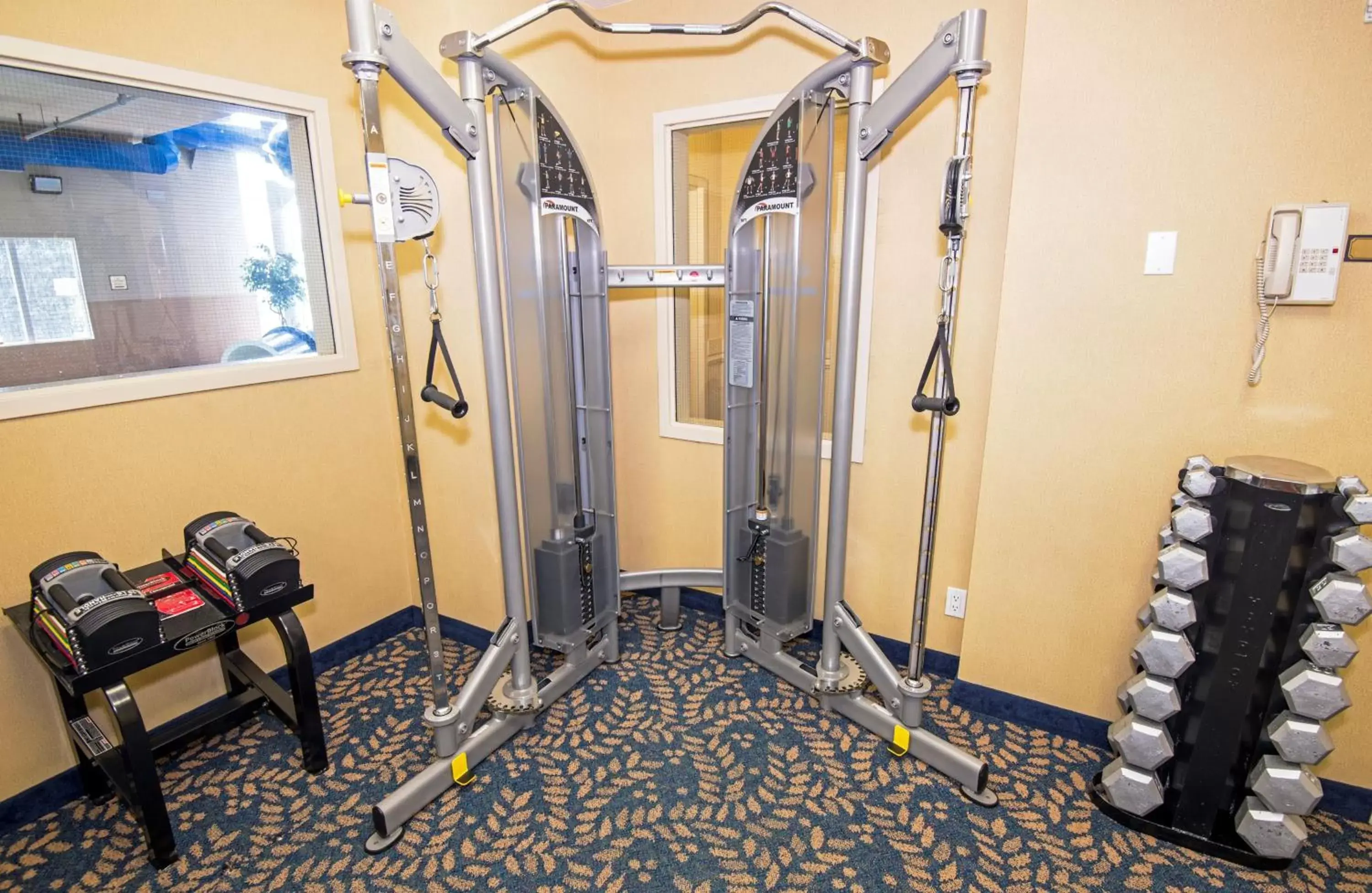 Fitness centre/facilities, Fitness Center/Facilities in Holiday Inn Express Hotel & Suites Edson, an IHG Hotel