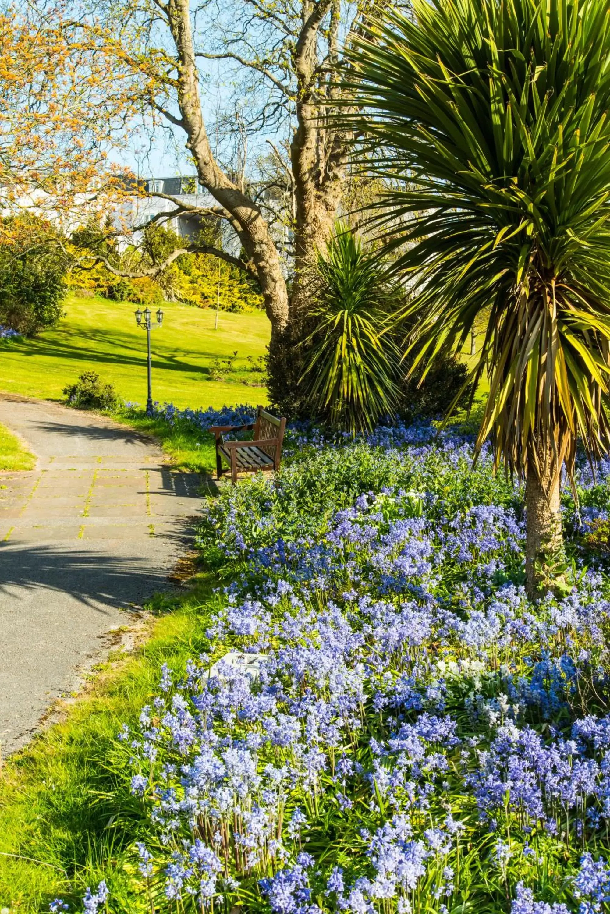 Garden in Cliffden Hotel