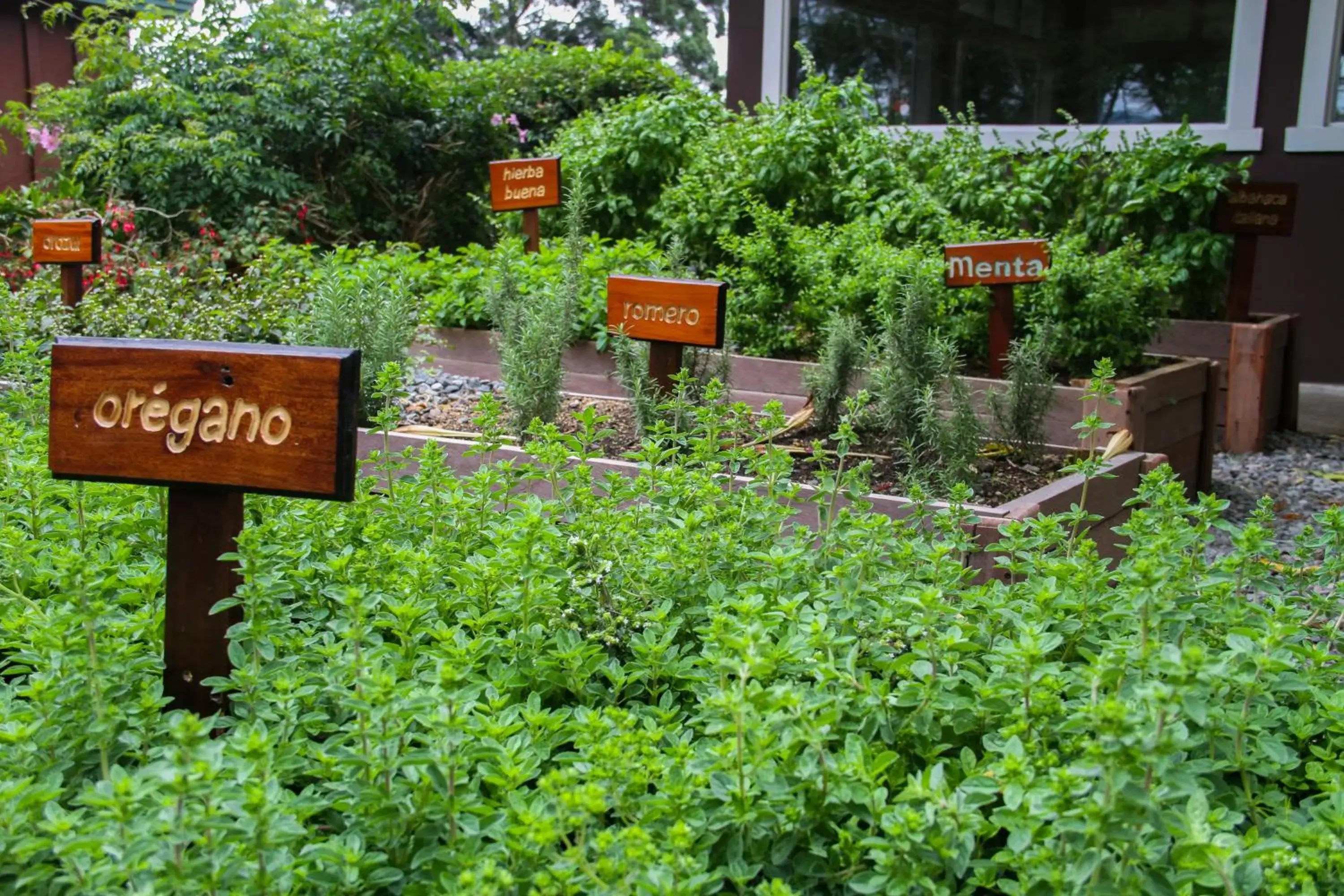 Garden in Hotel Finca Lerida Coffee Plantation and Boutique Hotel