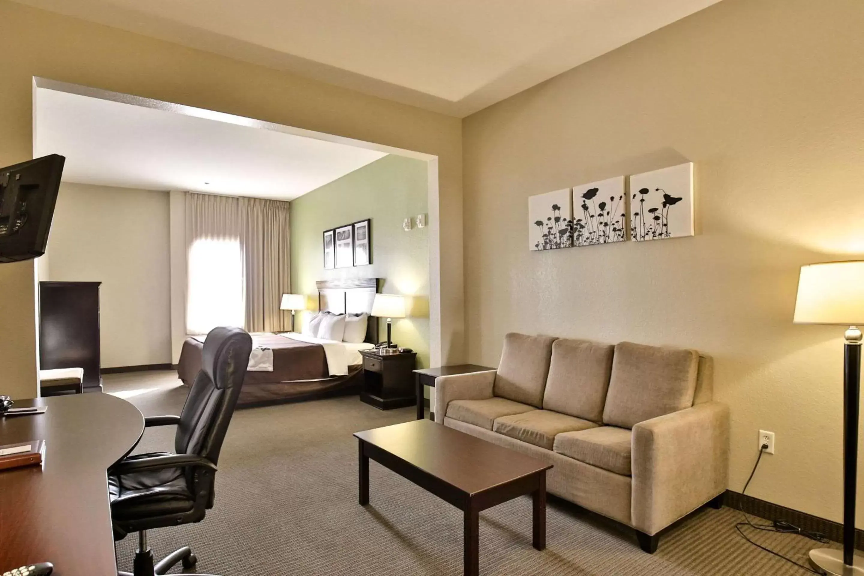 Photo of the whole room, Seating Area in Sleep Inn & Suites University