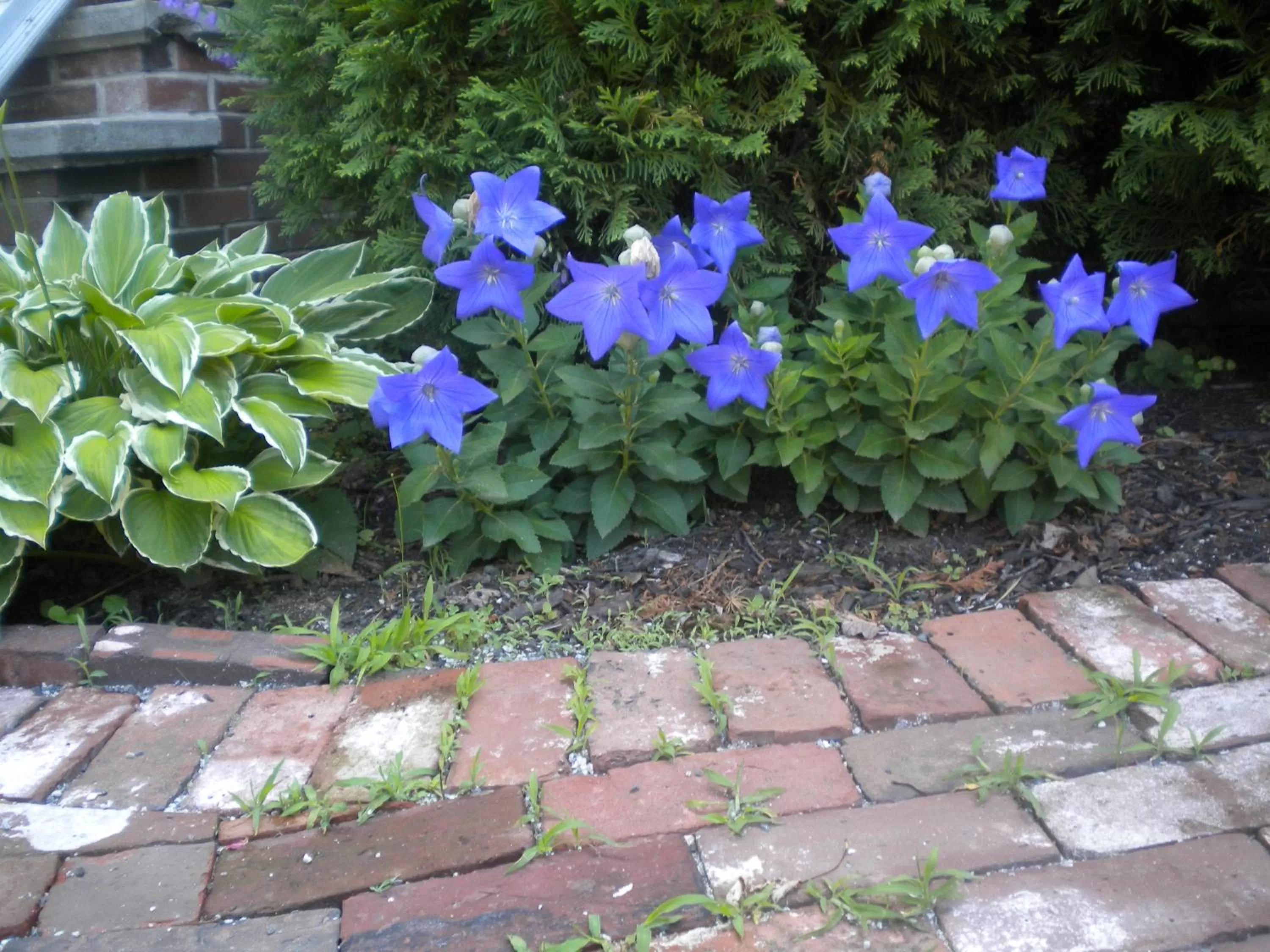 Other in Fleetwood House Bed and Breakfast