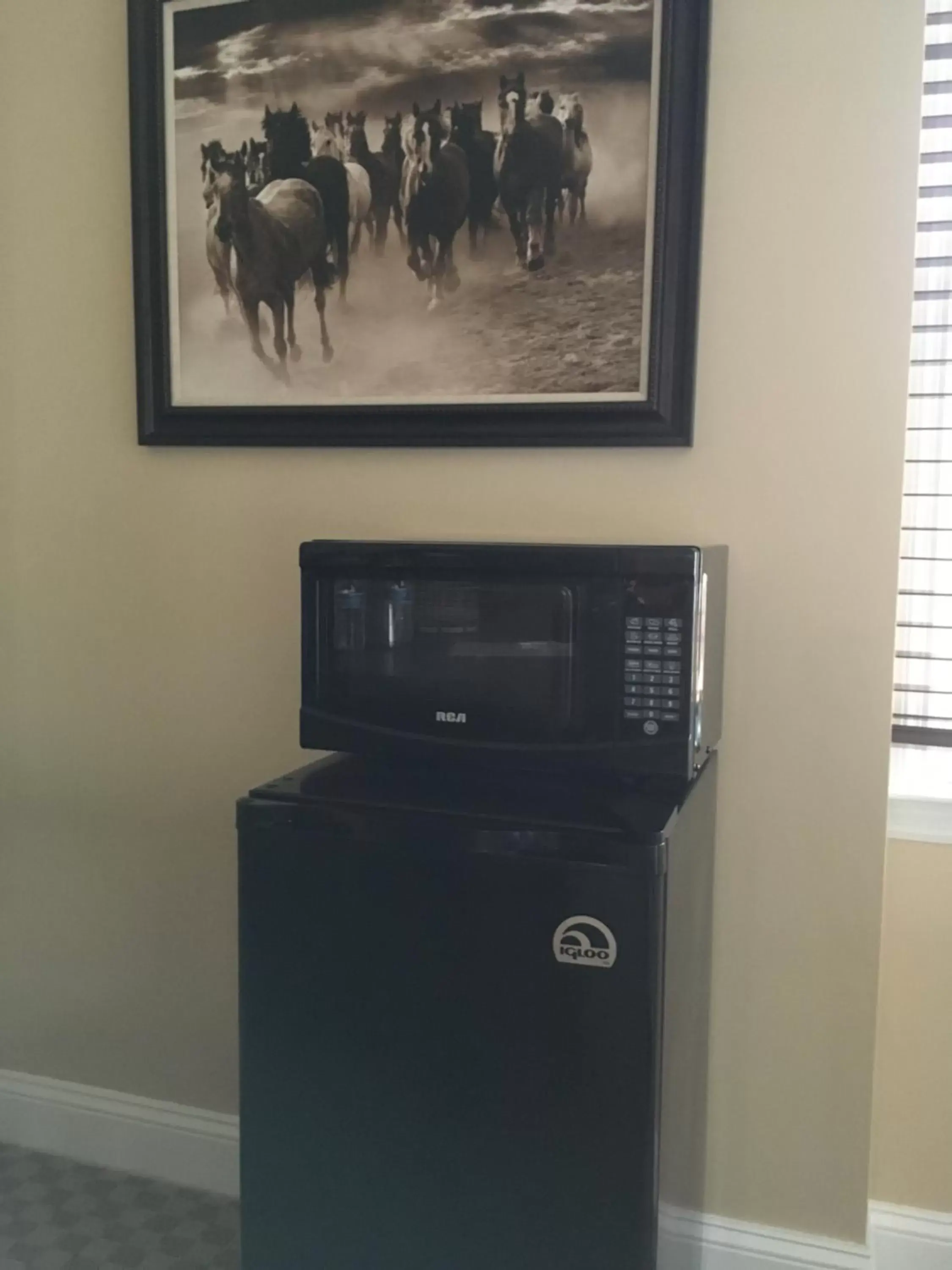 TV/Entertainment Center in Colts Neck Inn Hotel