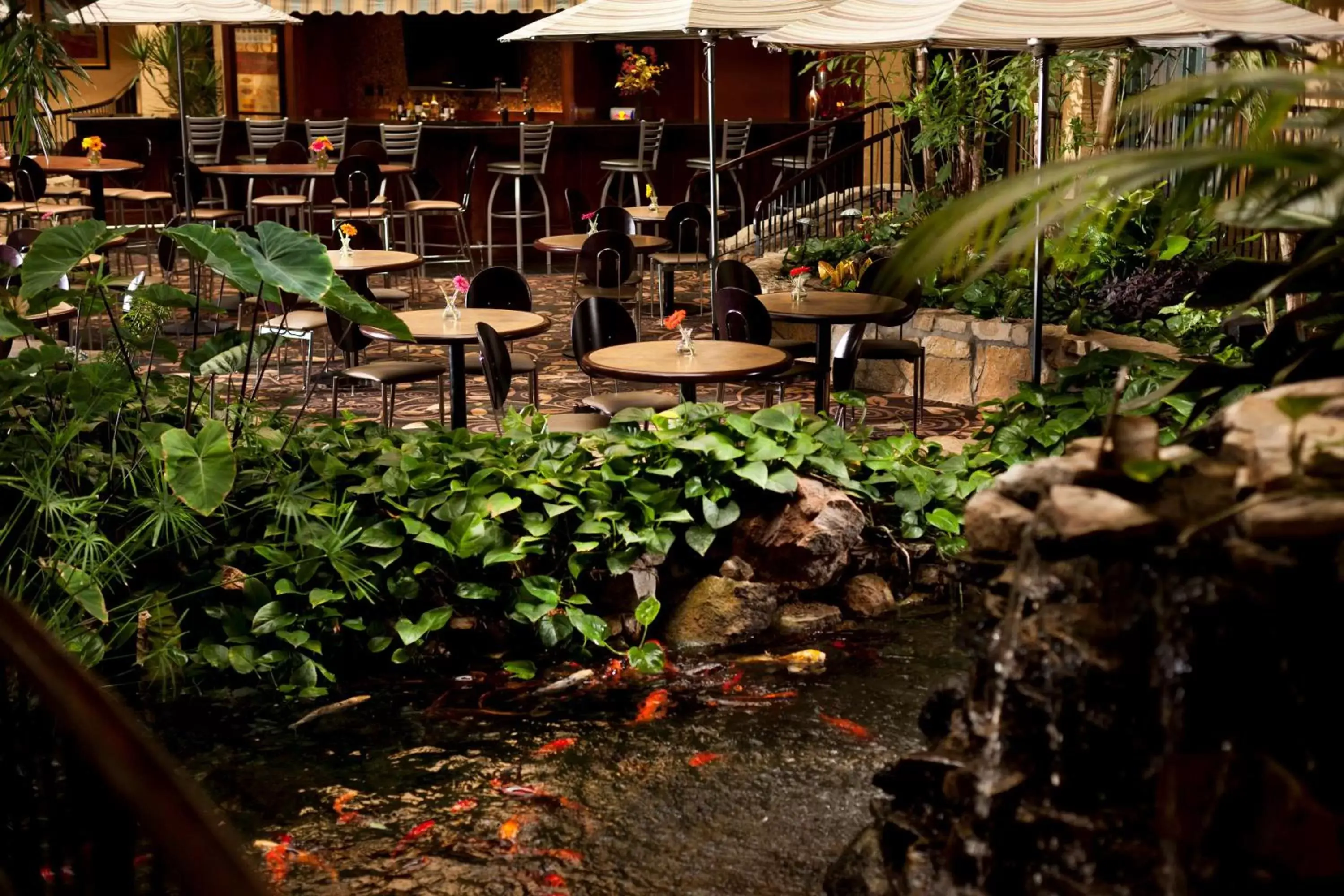 Lobby or reception in Embassy Suites Lubbock Lobby or reception in Embassy Suites Lubbock