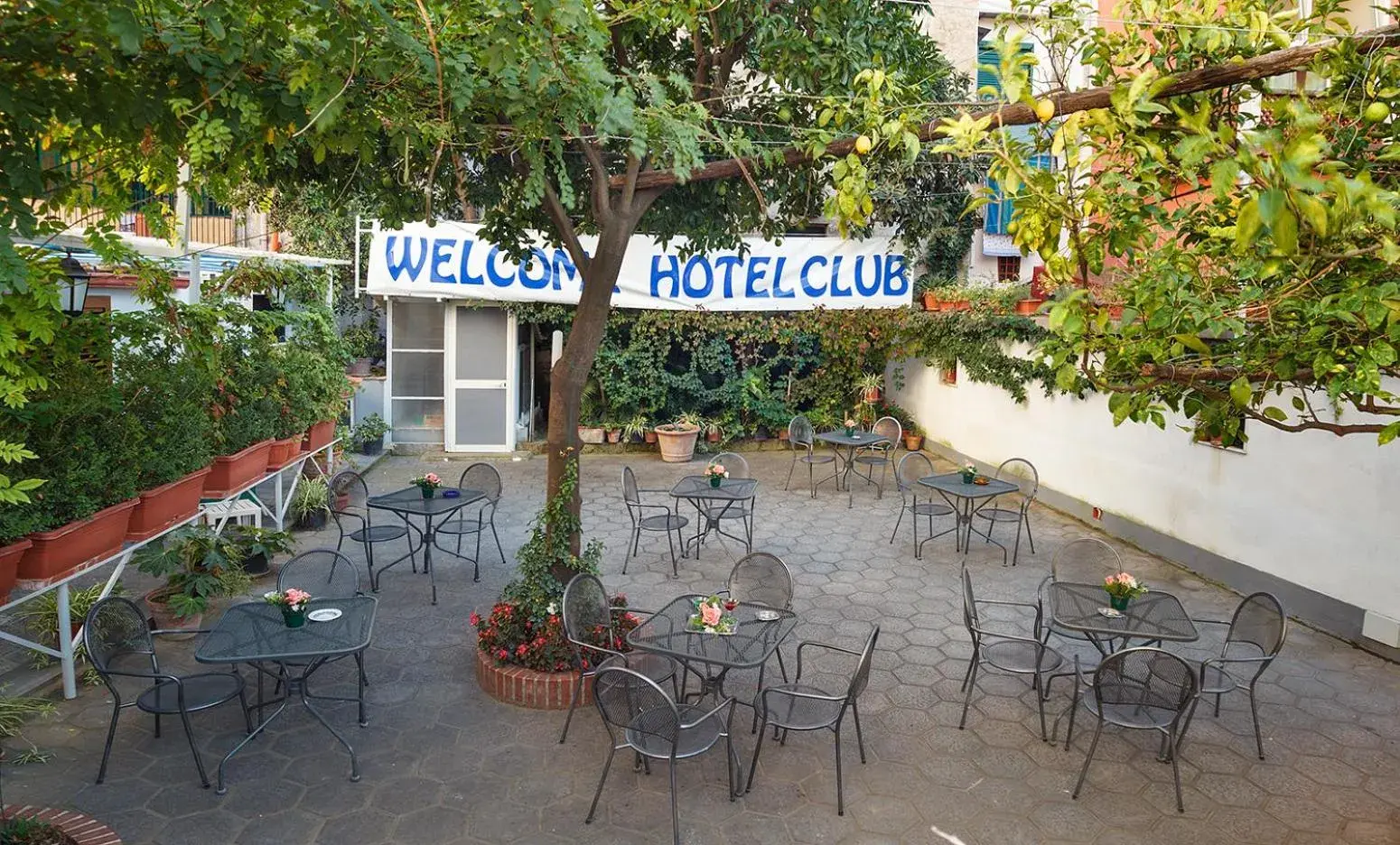 Garden in Hotel Club
