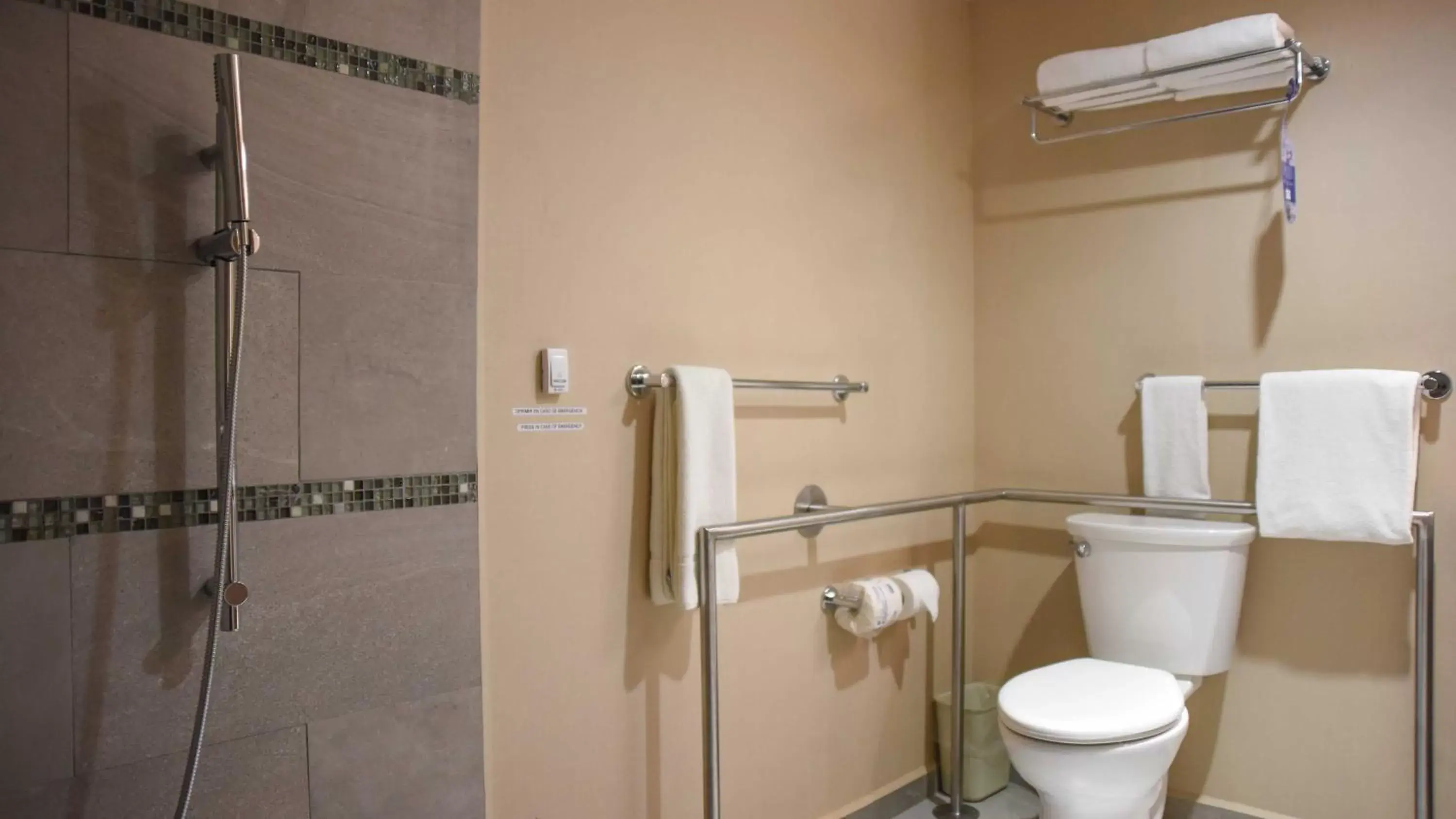 Toilet, Bathroom in Holiday Inn Express and Suites Celaya, an IHG Hotel