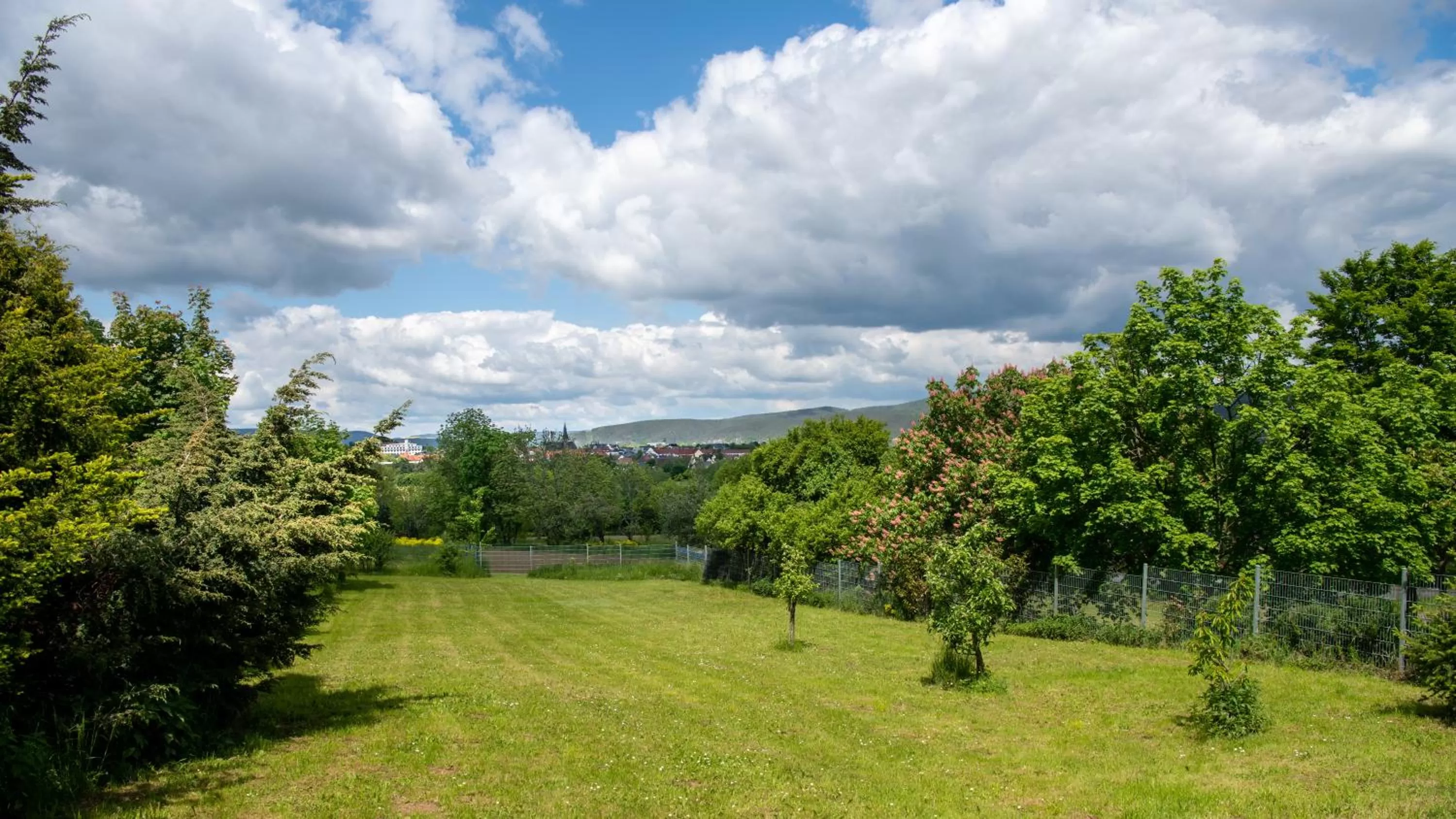 Garden view in Hotel Asterra