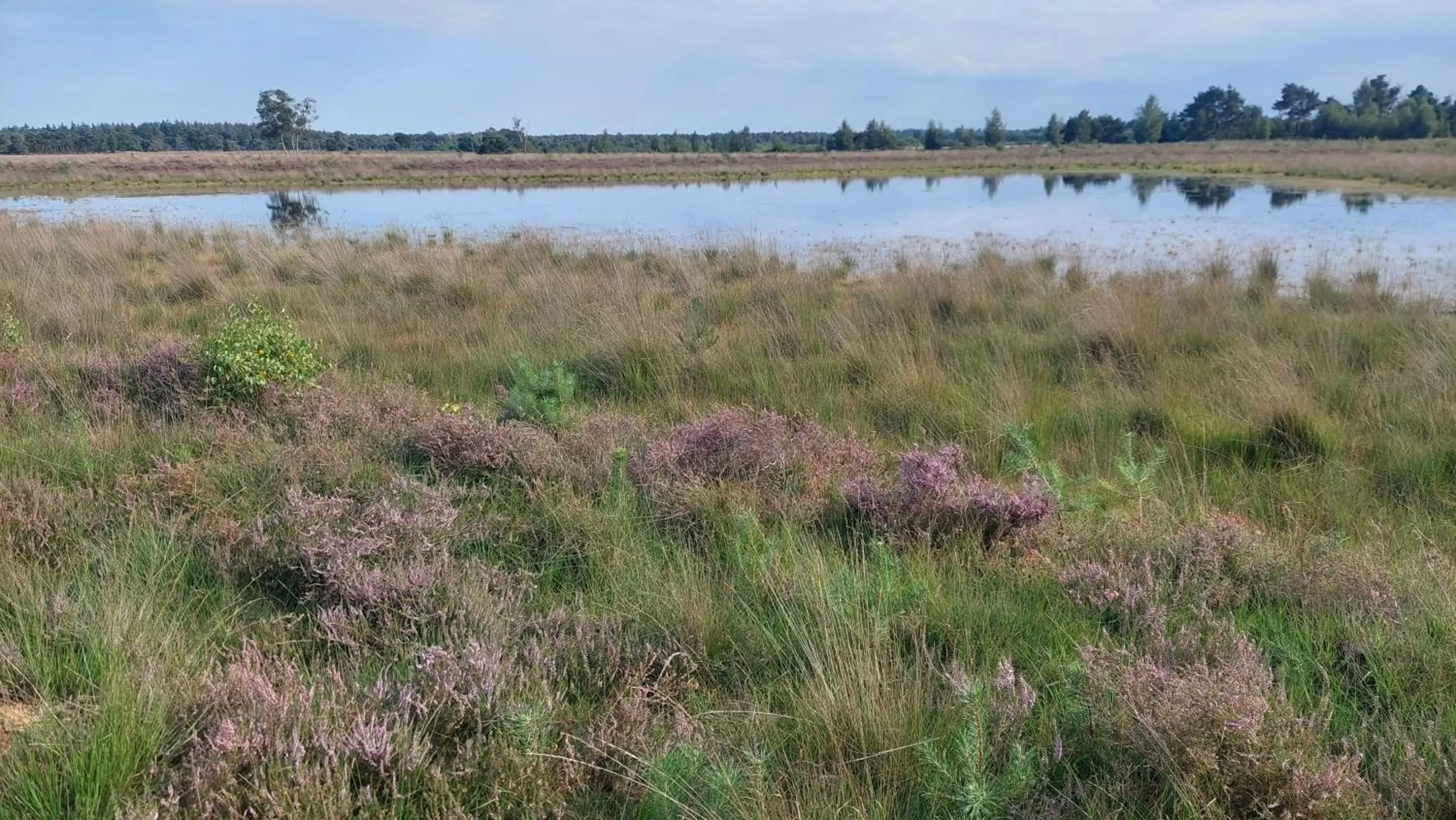 Natural landscape in B en B Stipdonk