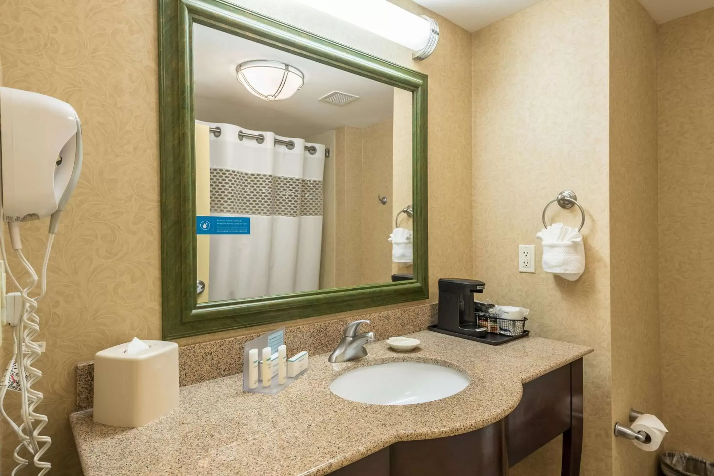 Bathroom in Hampton Inn & Suites Orlando-South Lake Buena Vista