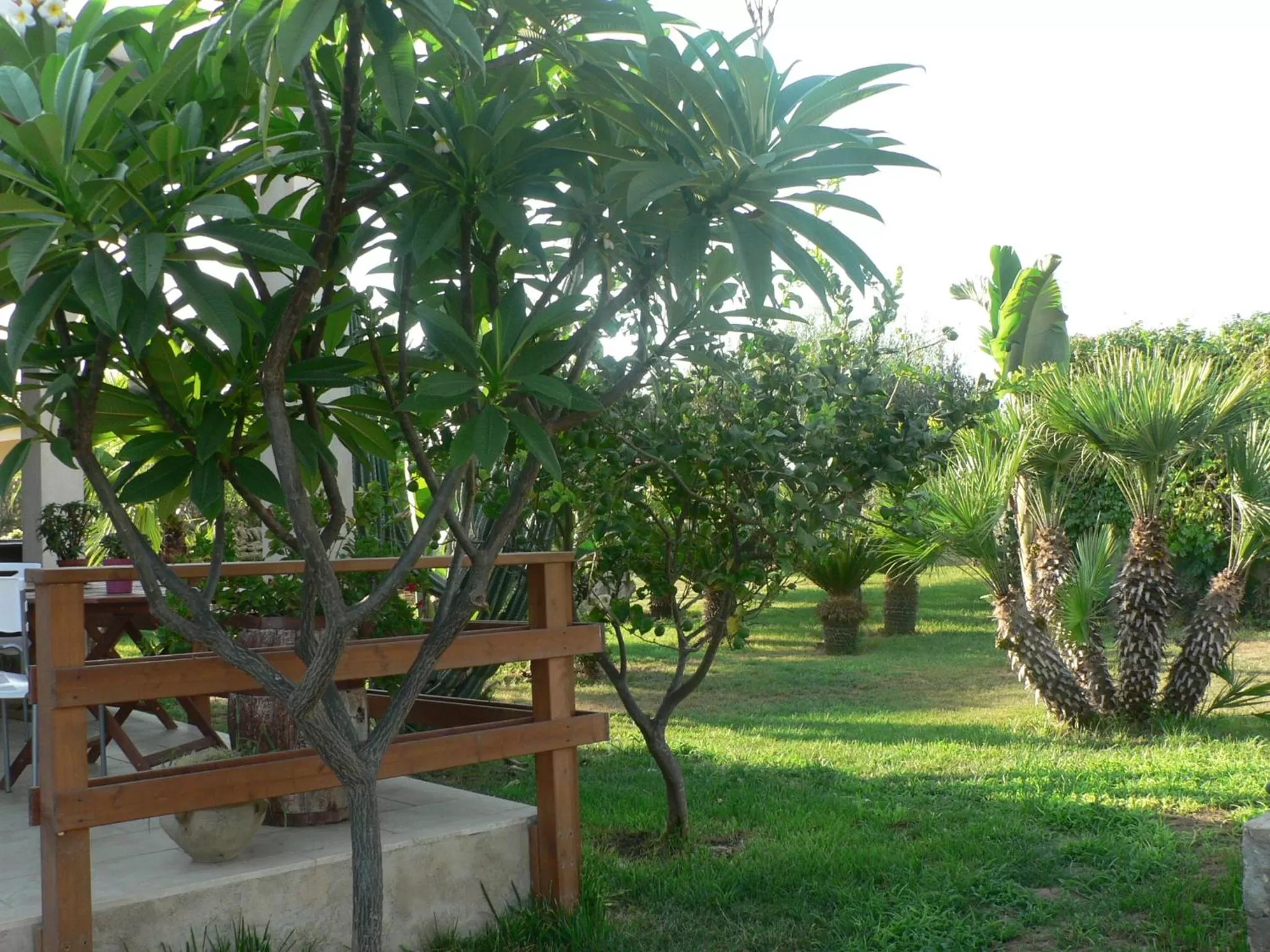 Garden in B&B Villa Francesco