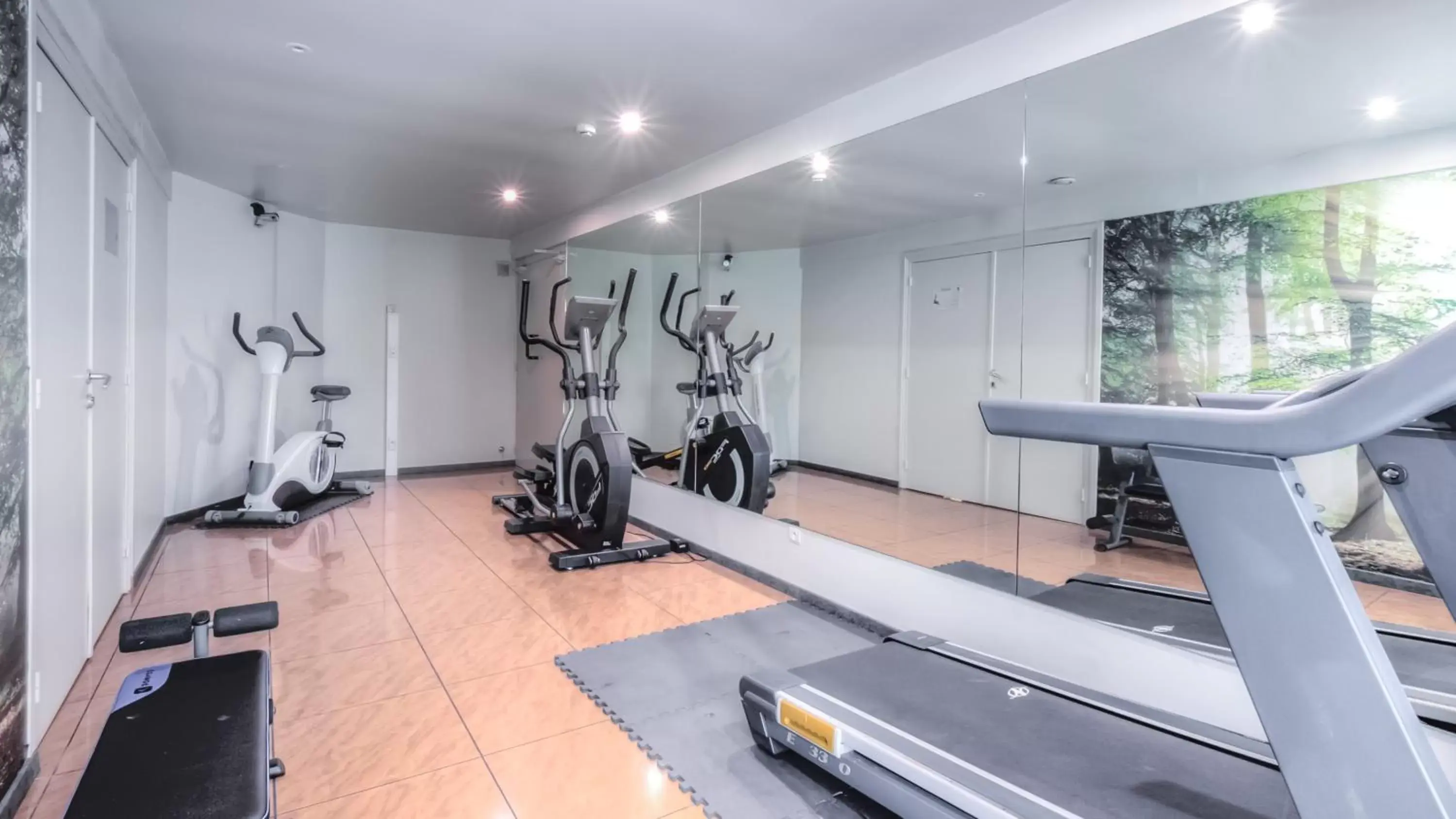 Fitness centre/facilities, Fitness Center/Facilities in Logis Hôtel Restaurant Des Acacias Lille Tourcoing