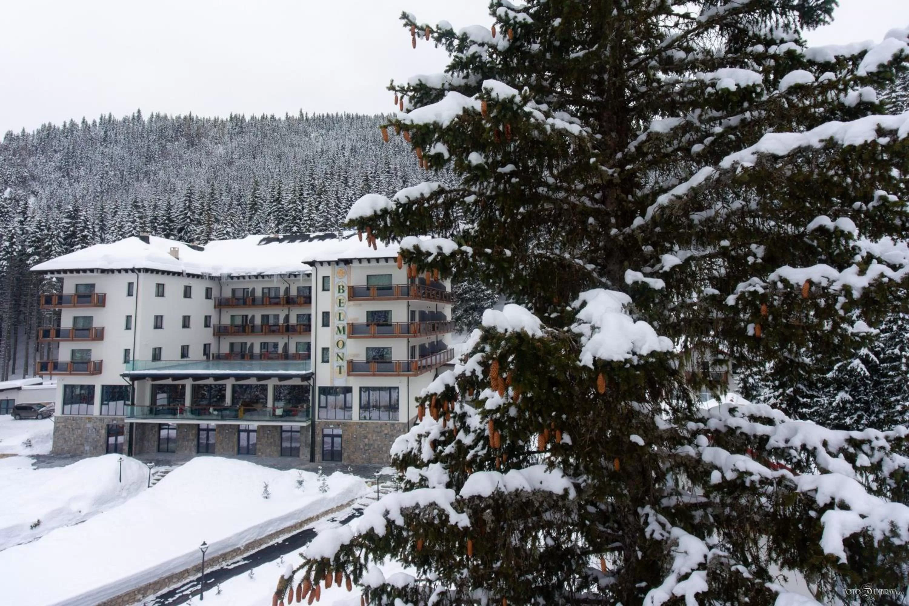 Property building, Winter in Hotel Belmont