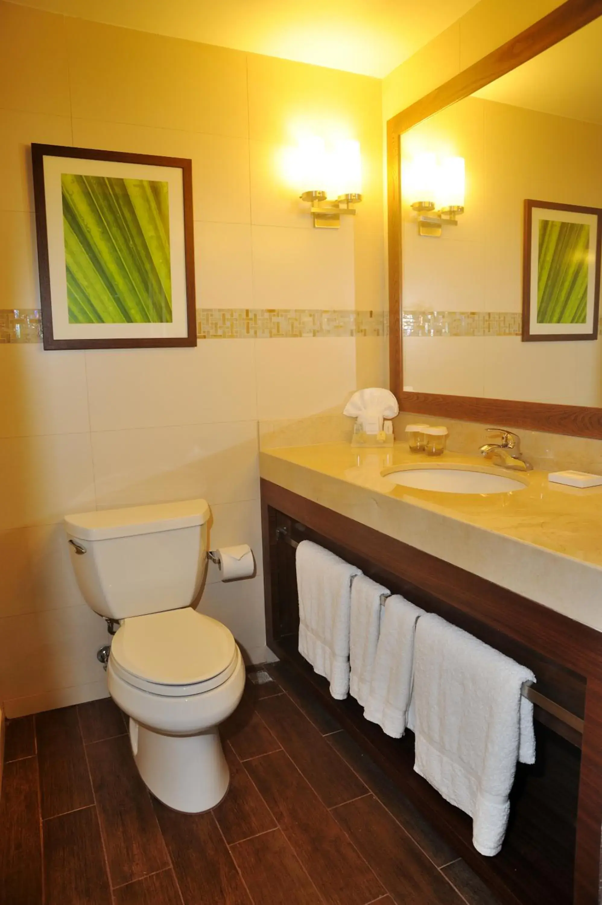 Bathroom in Hilton Garden Inn Panama