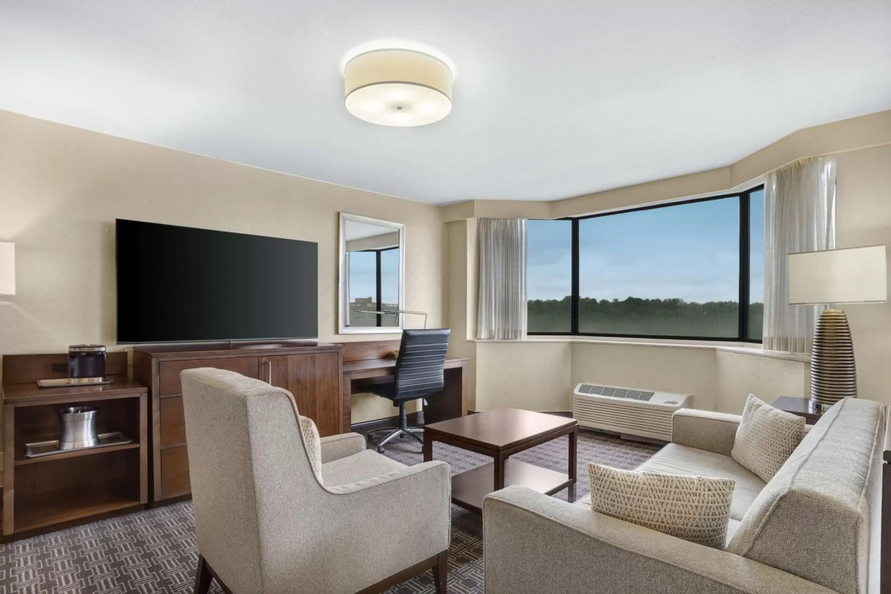 Living room, Seating Area in Hilton Arlington National Landing