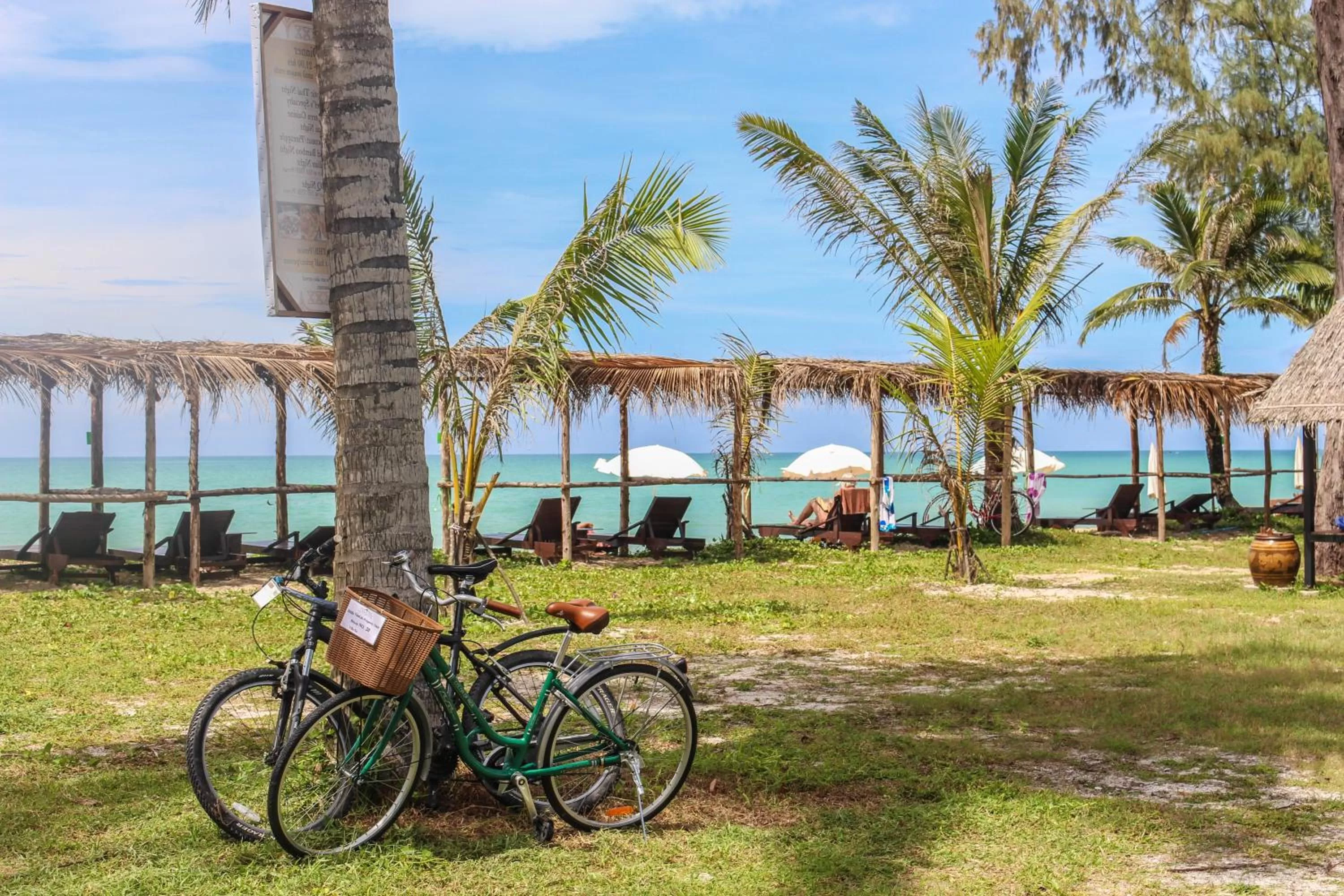 View (from property/room) in ThaiLife Wellness & Meditation Resort- SHA Plus