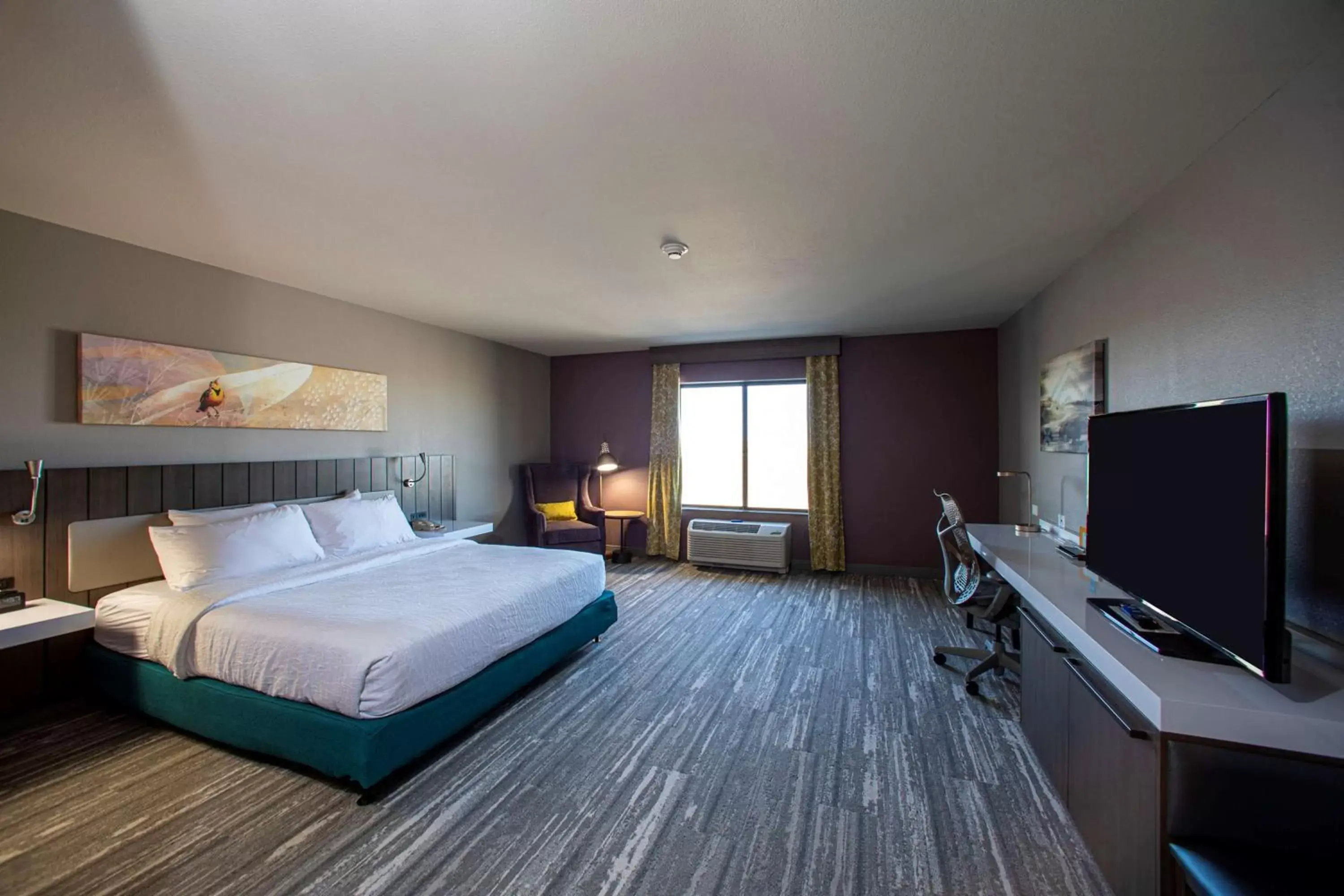 Bedroom, TV/Entertainment Center in Hilton Garden Inn Rapid City