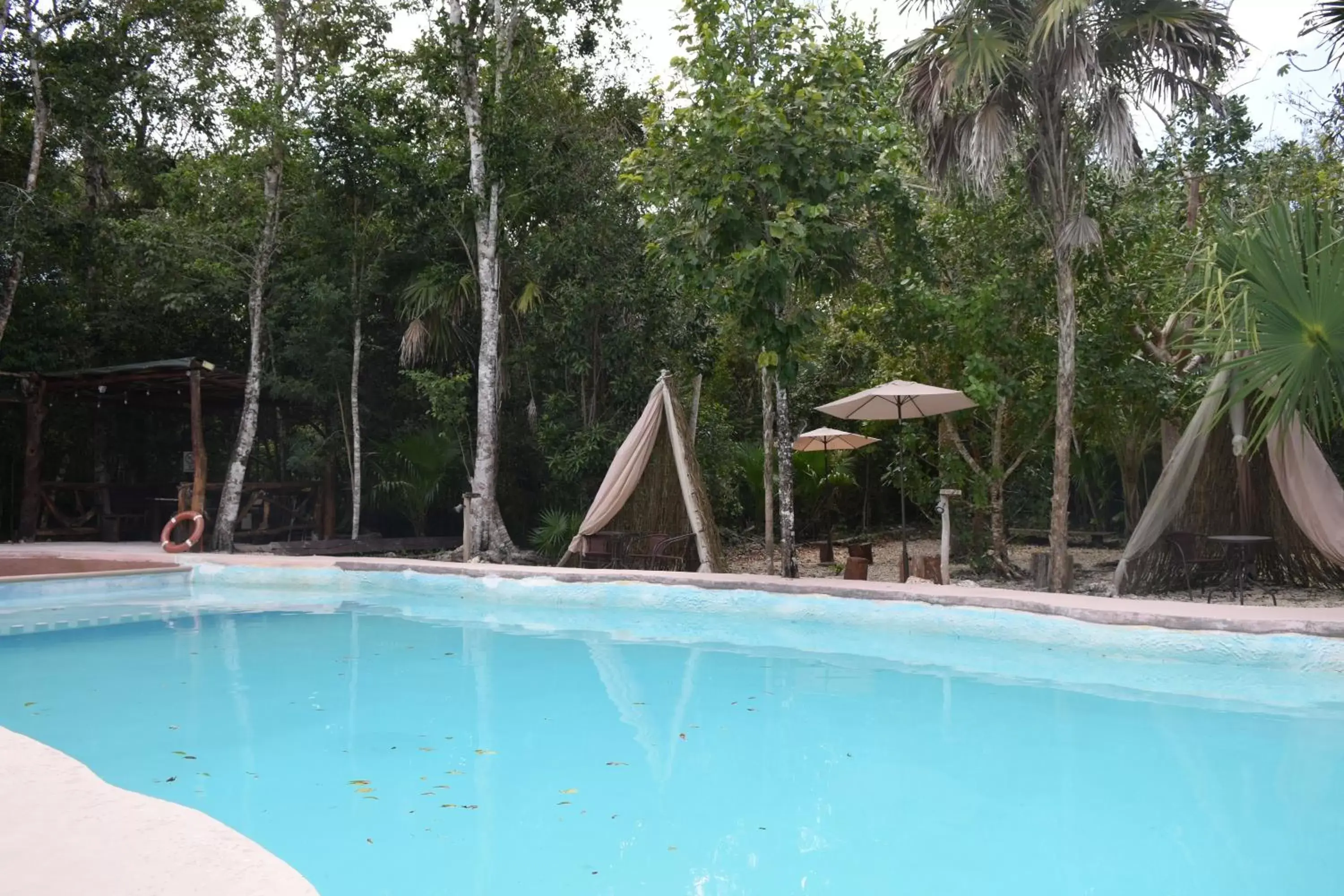 Natural landscape, Swimming Pool in Jolie Jungle Eco Hotel