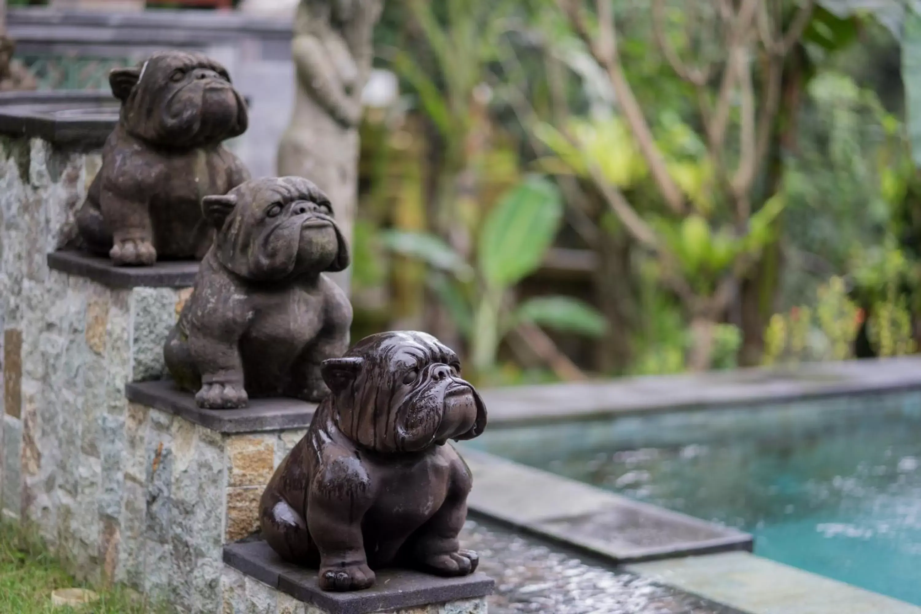 Other, Other Animals in Ketut's Place Villas Ubud