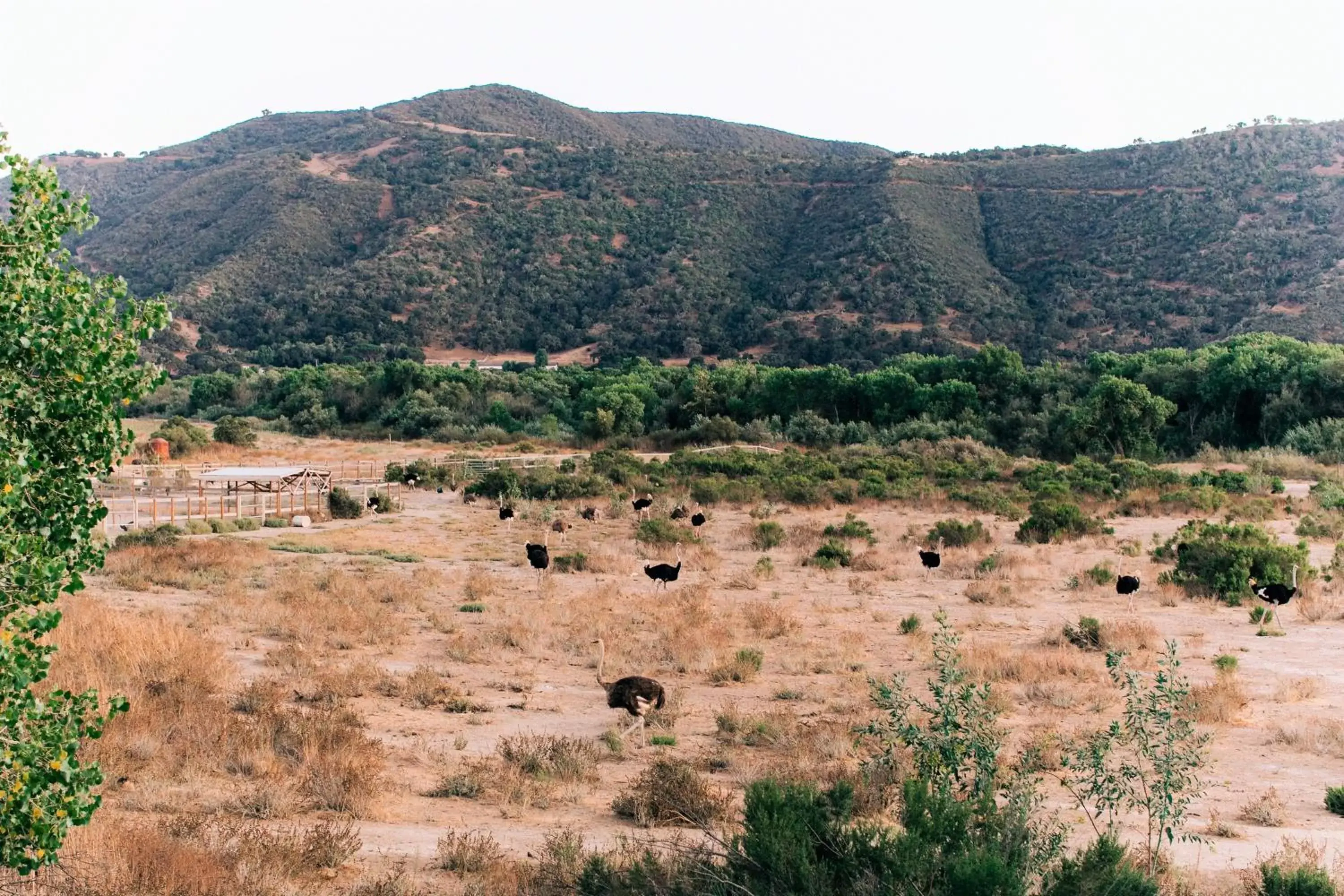 Natural landscape in Vinland Hotel and Lounge