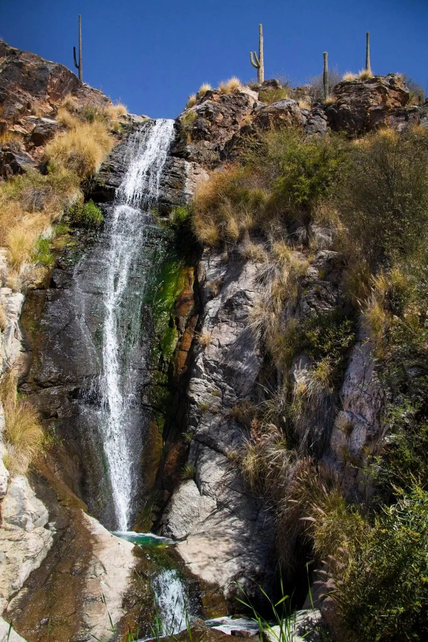 Nearby landmark, Natural Landscape in Loews Ventana Canyon Resort