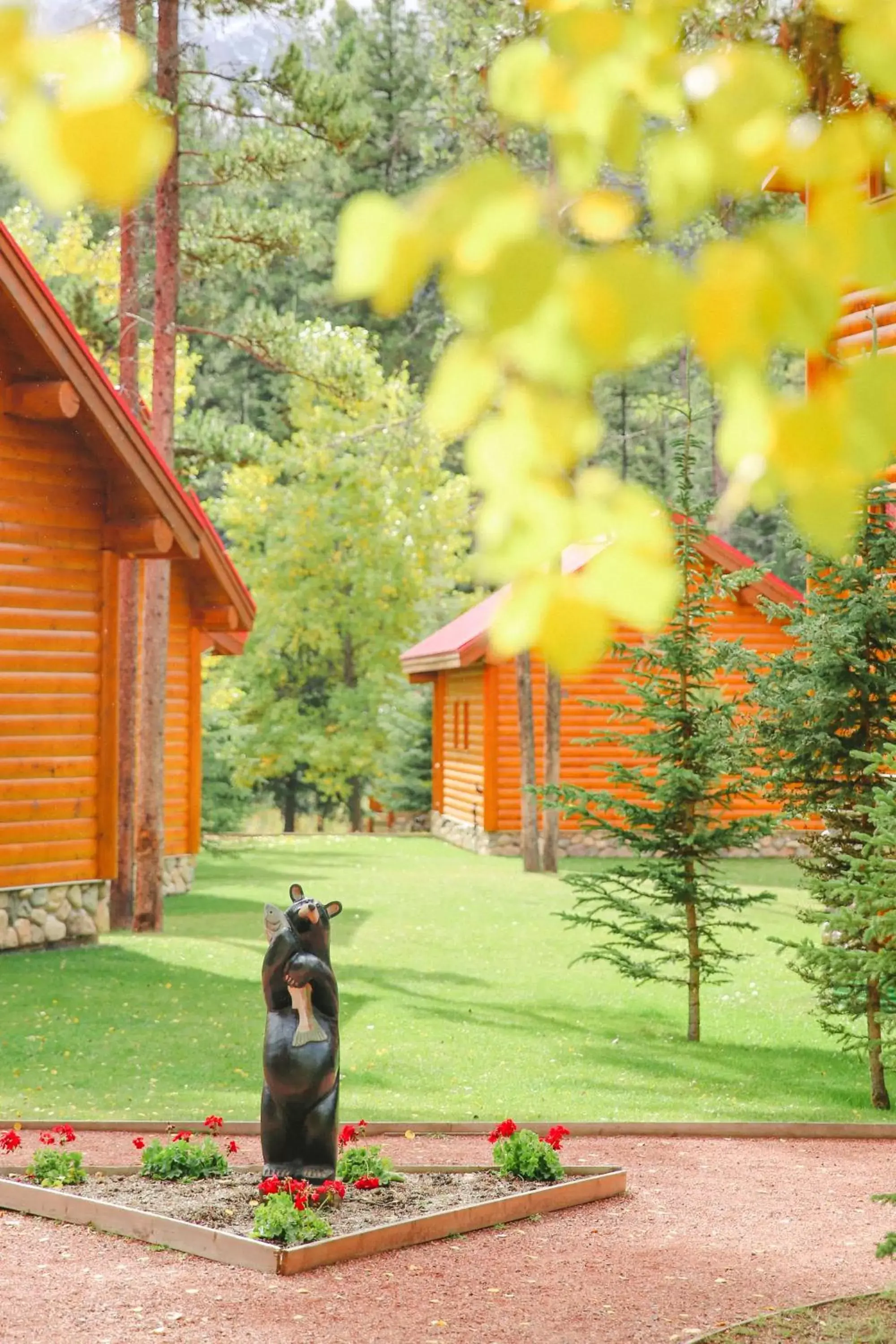 Day, Pets in Baker Creek By Basecamp