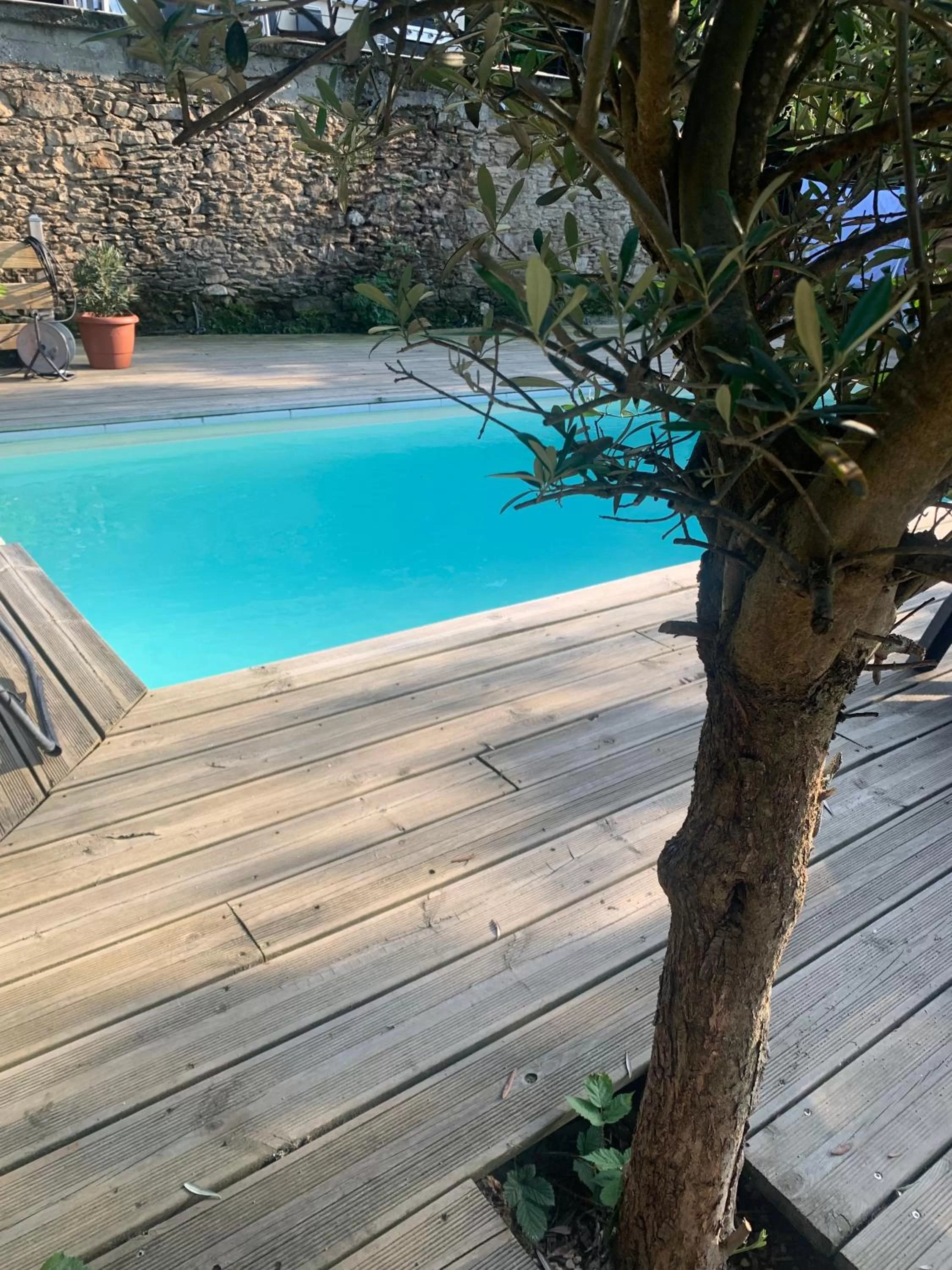 Swimming Pool in La Voûte du Pilat & SPA