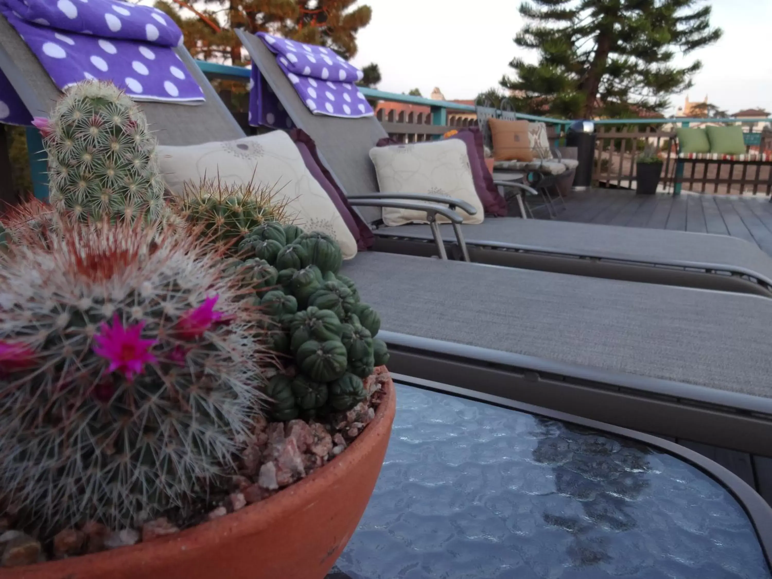 Balcony/Terrace, Swimming Pool in The Presidio