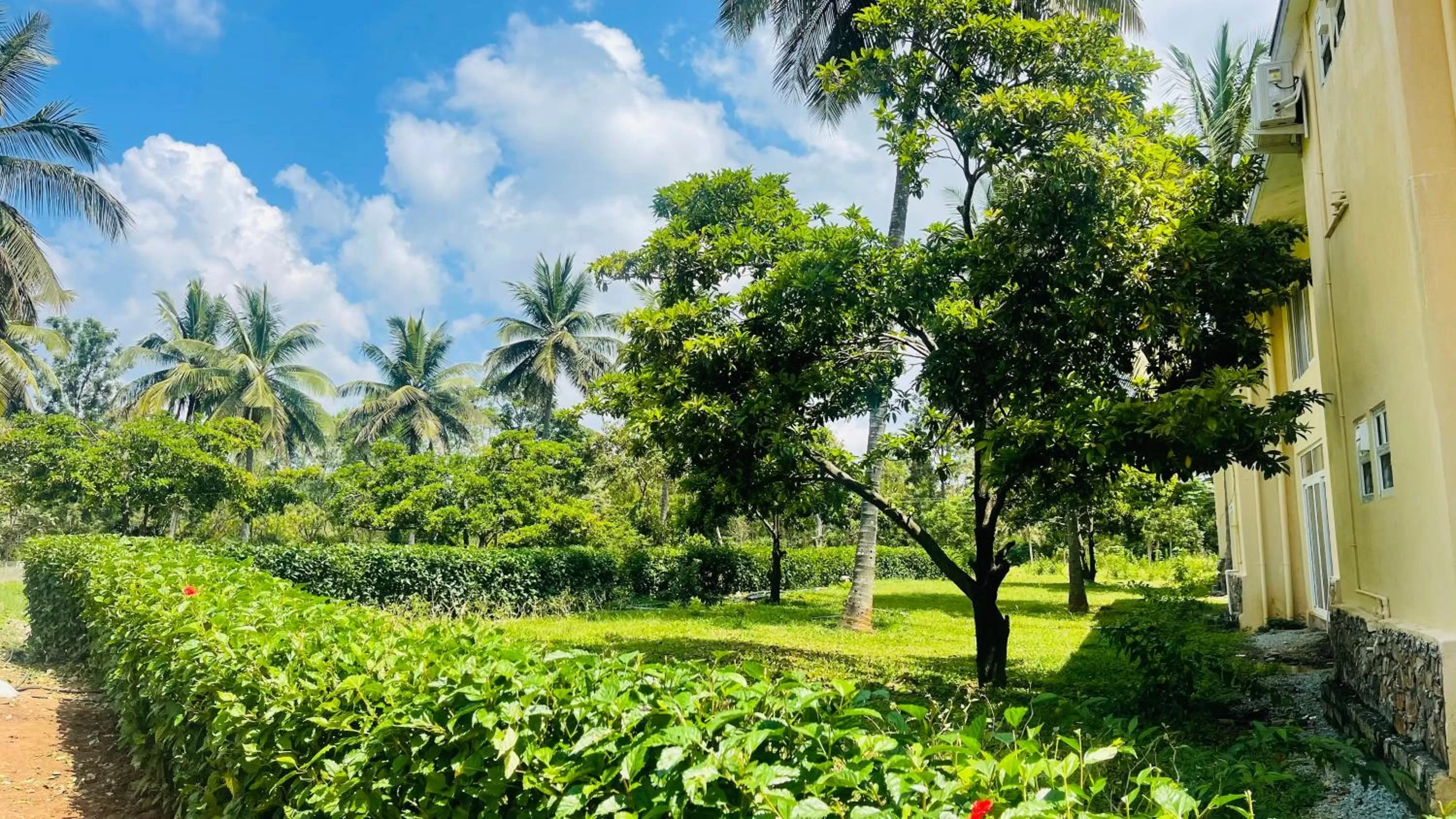 Natural landscape in Commune18 Resort Chikmagalur