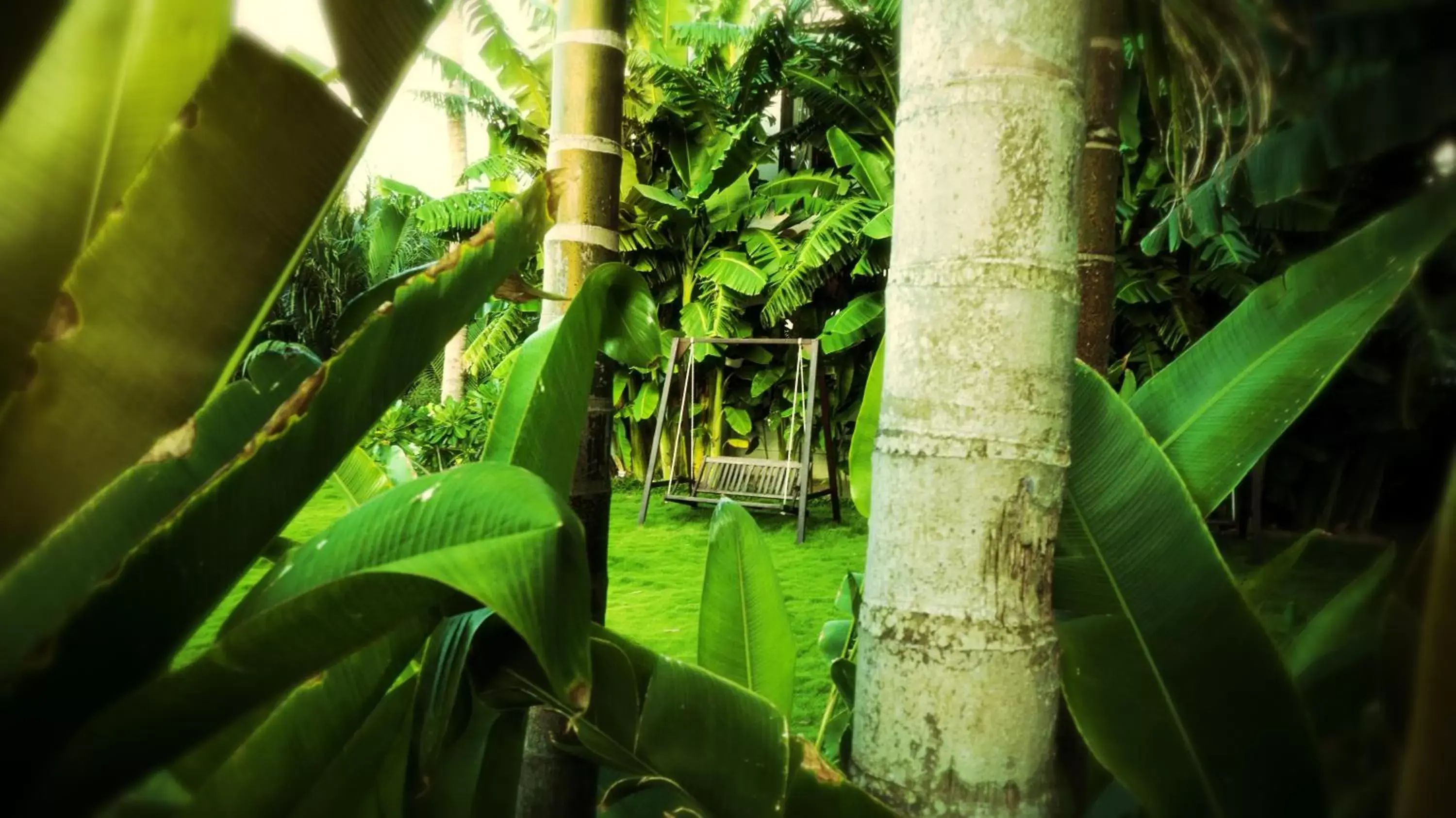 Garden view in Legacy Hoi An Resort - formerly Ancient House Village Resort & Spa