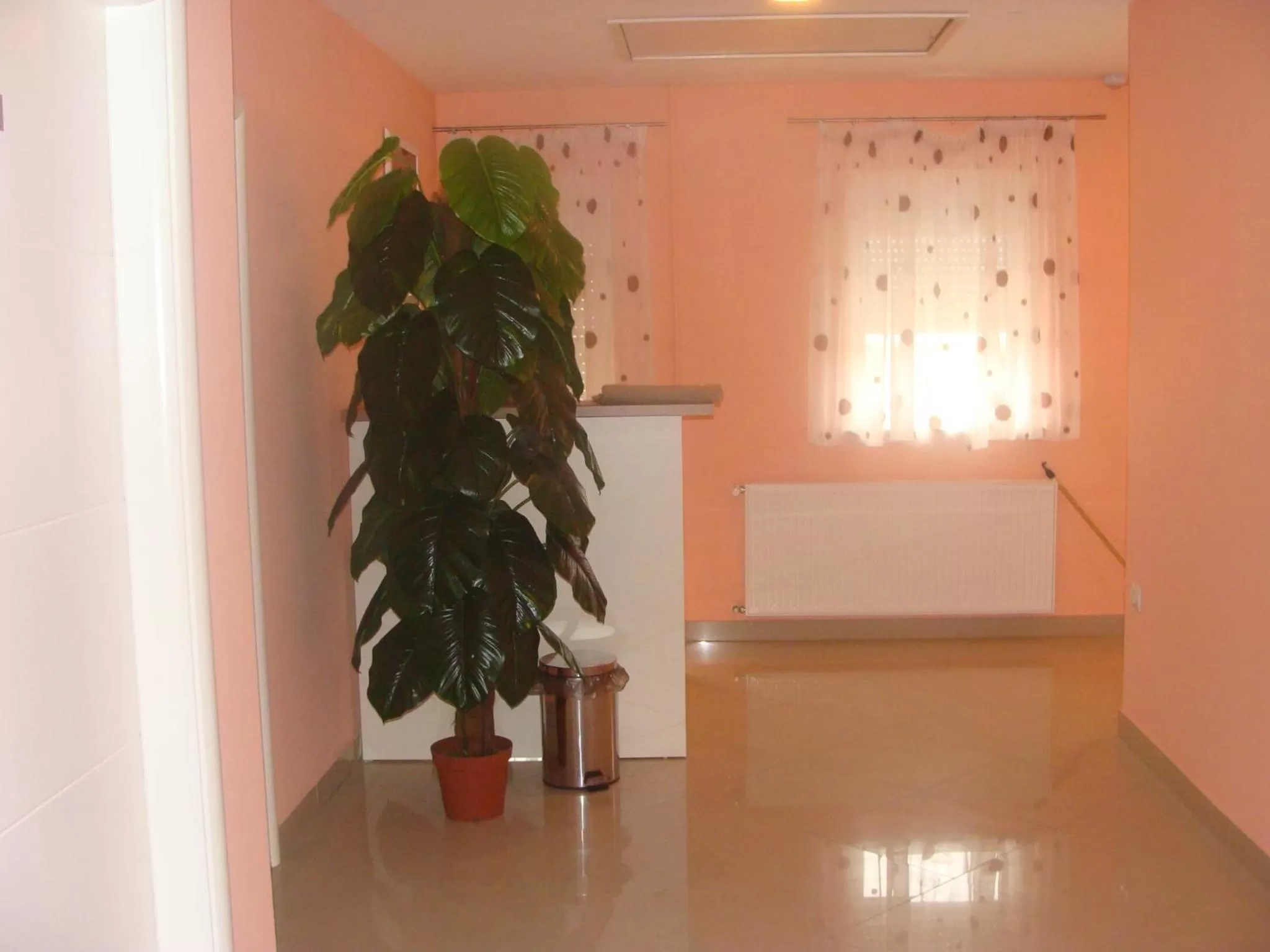 Day, Lobby/Reception in Lugarnica