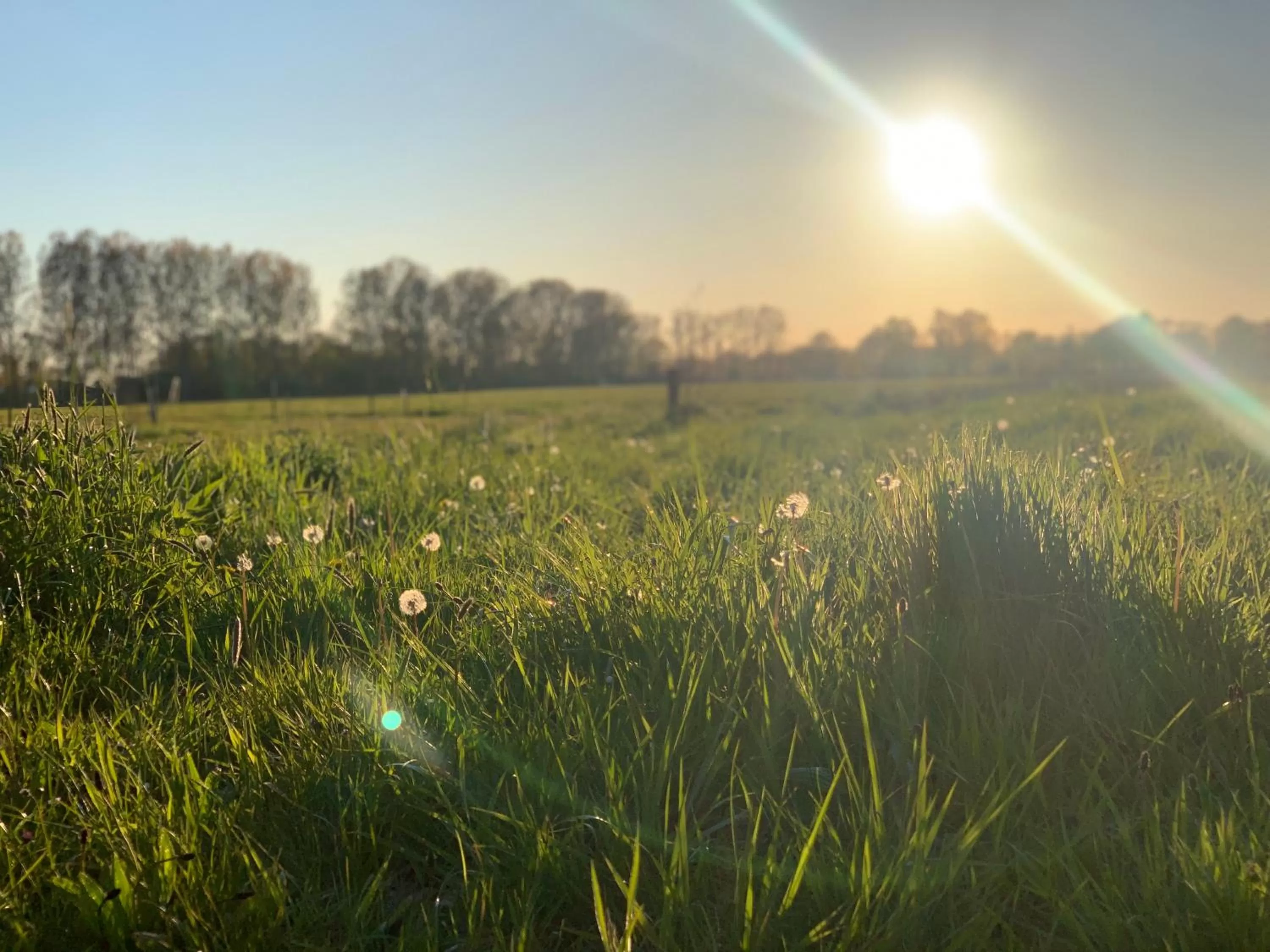 Natural landscape in B&B OP3 Aarle-Rixtel