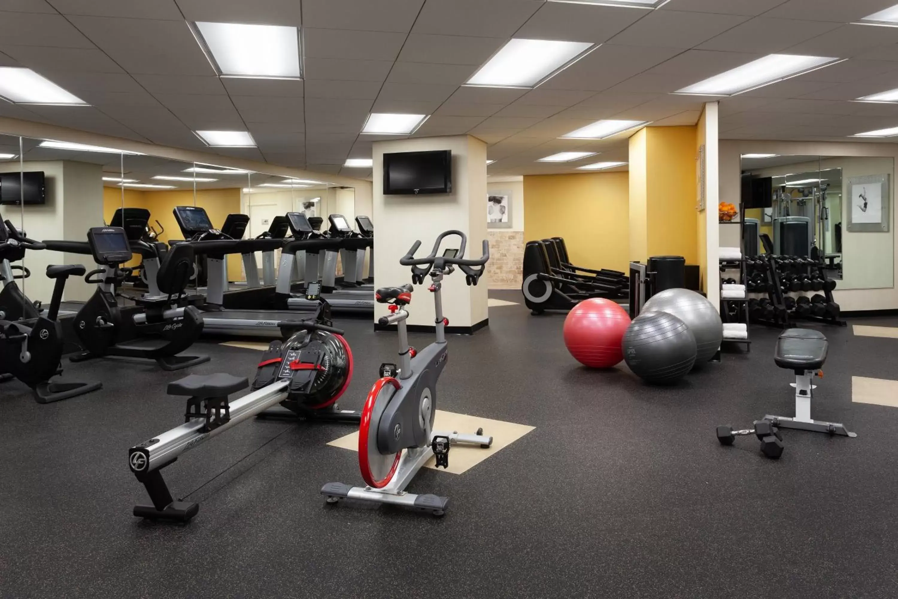 Fitness centre/facilities, Fitness Center/Facilities in Tampa Airport Marriott