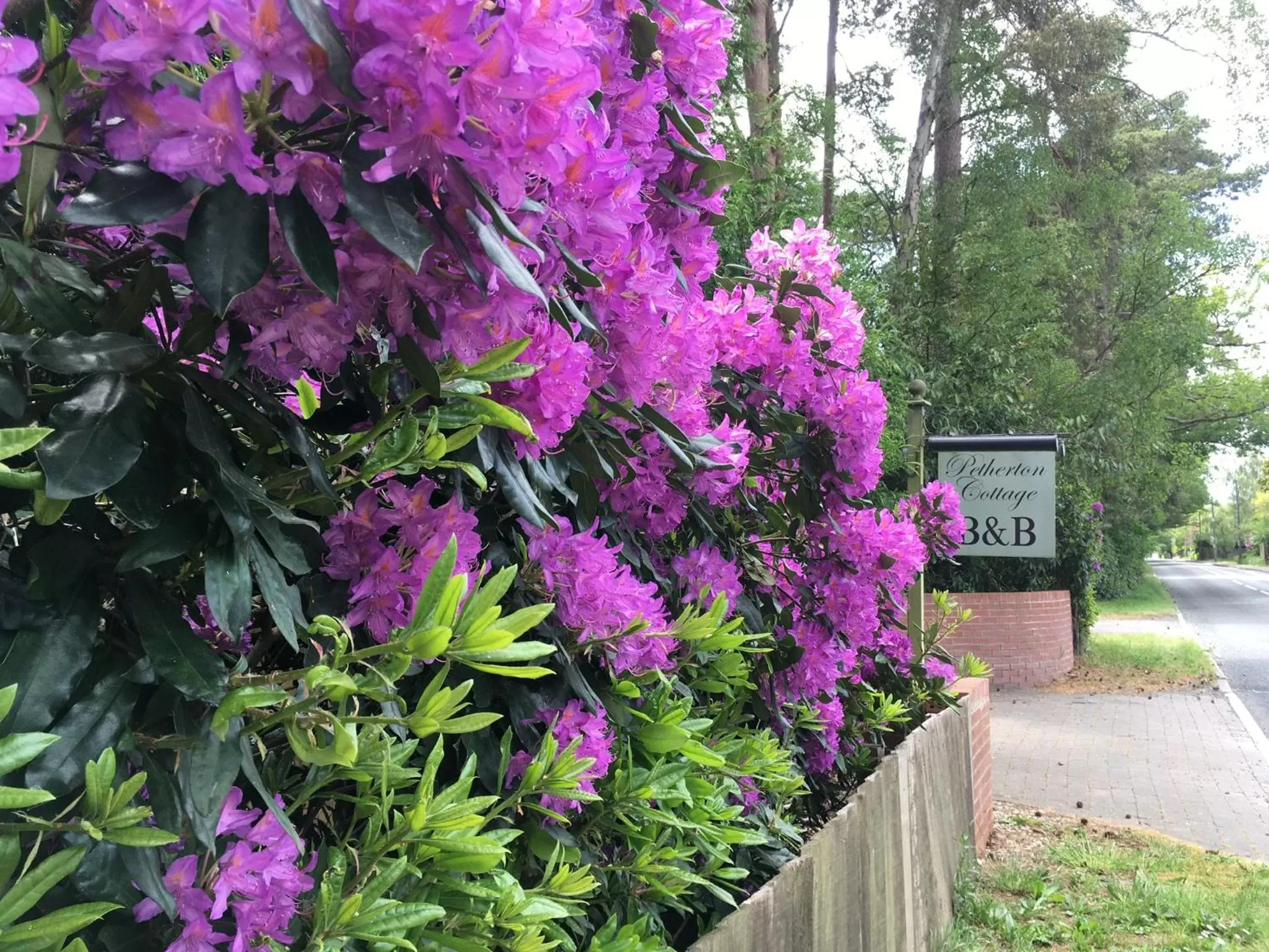 Petherton Cottage Studios