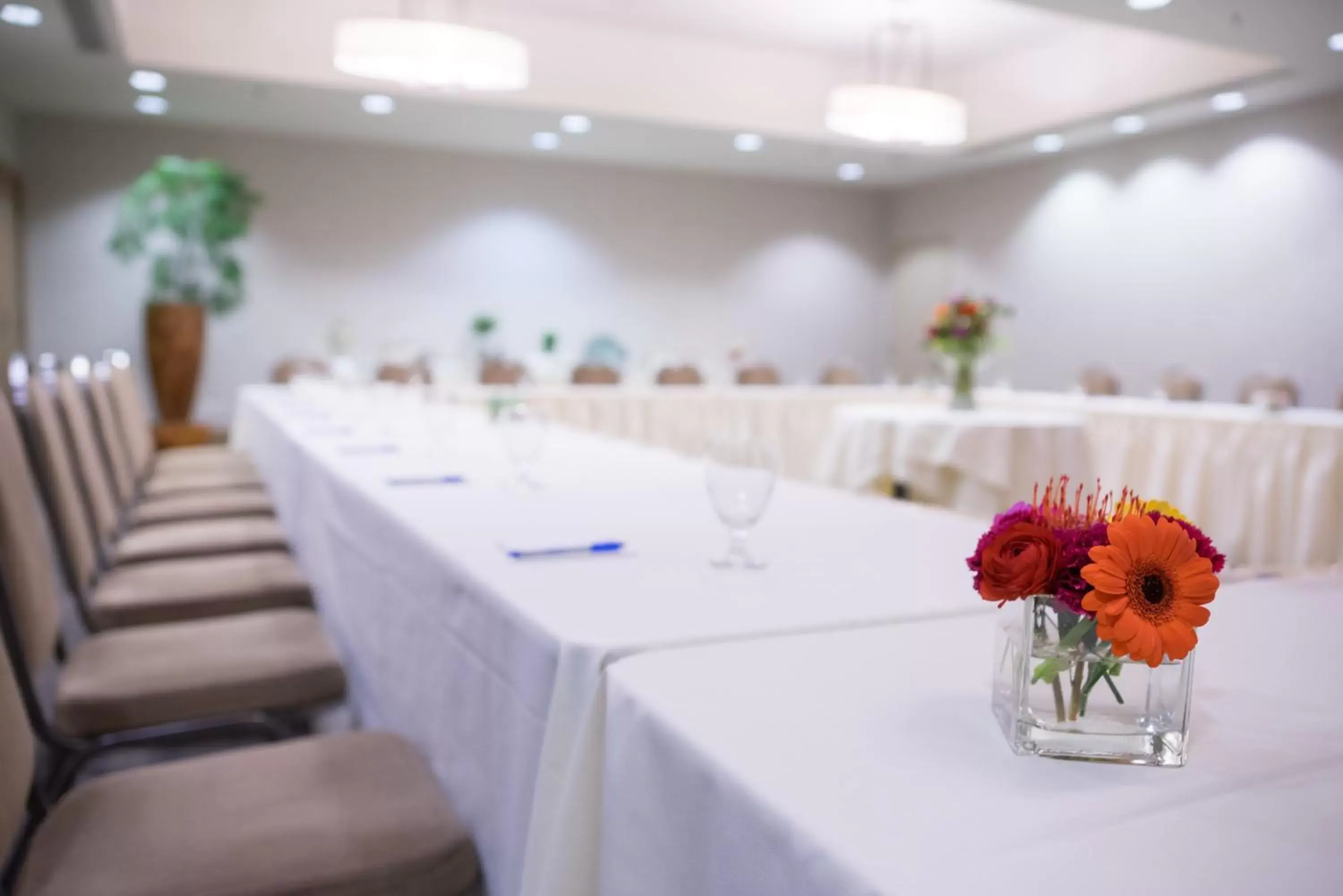 Banquet/Function facilities in The Sidney Pier Hotel & Spa