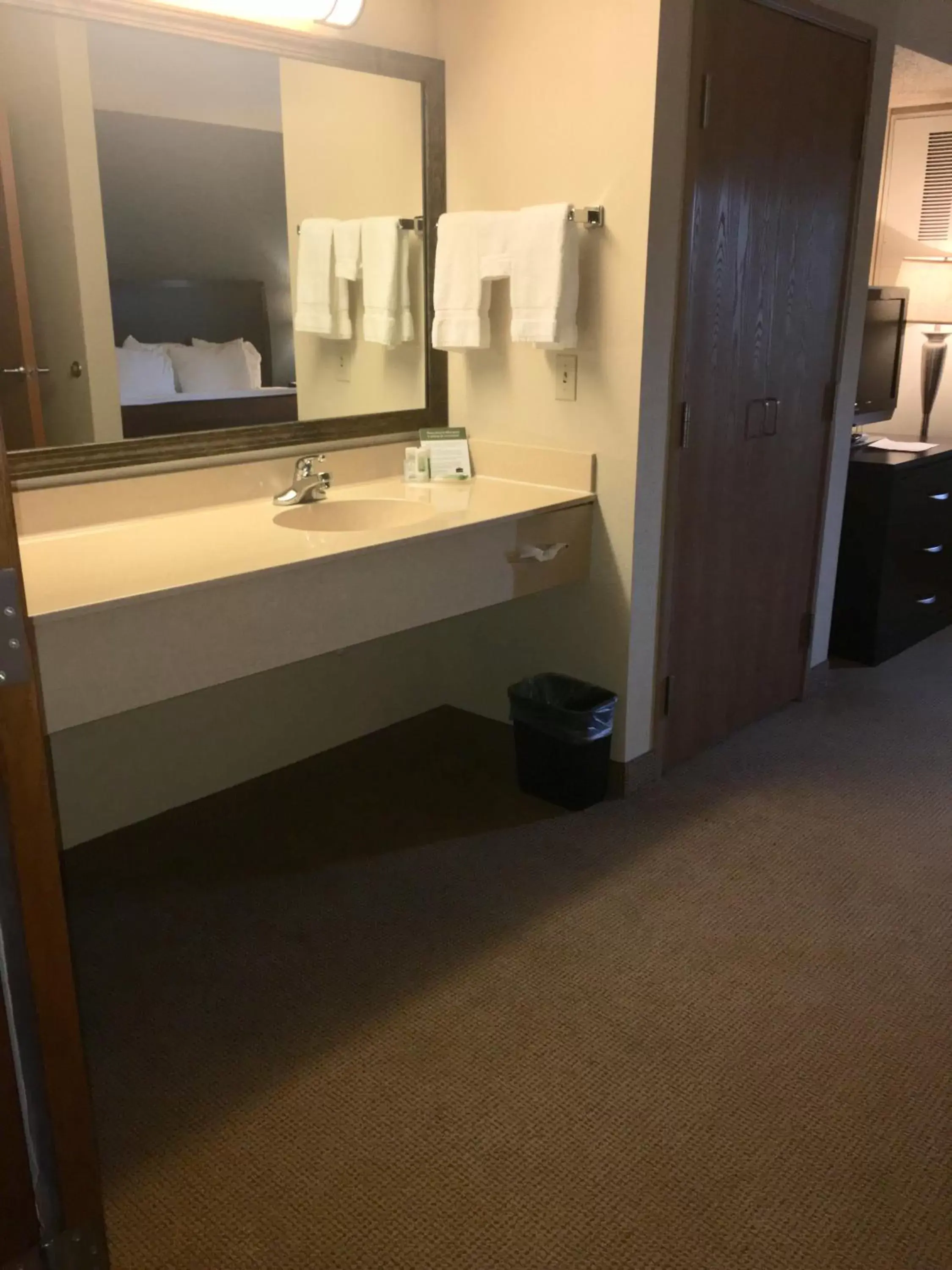 Bathroom in AmericInn by Wyndham Monmouth